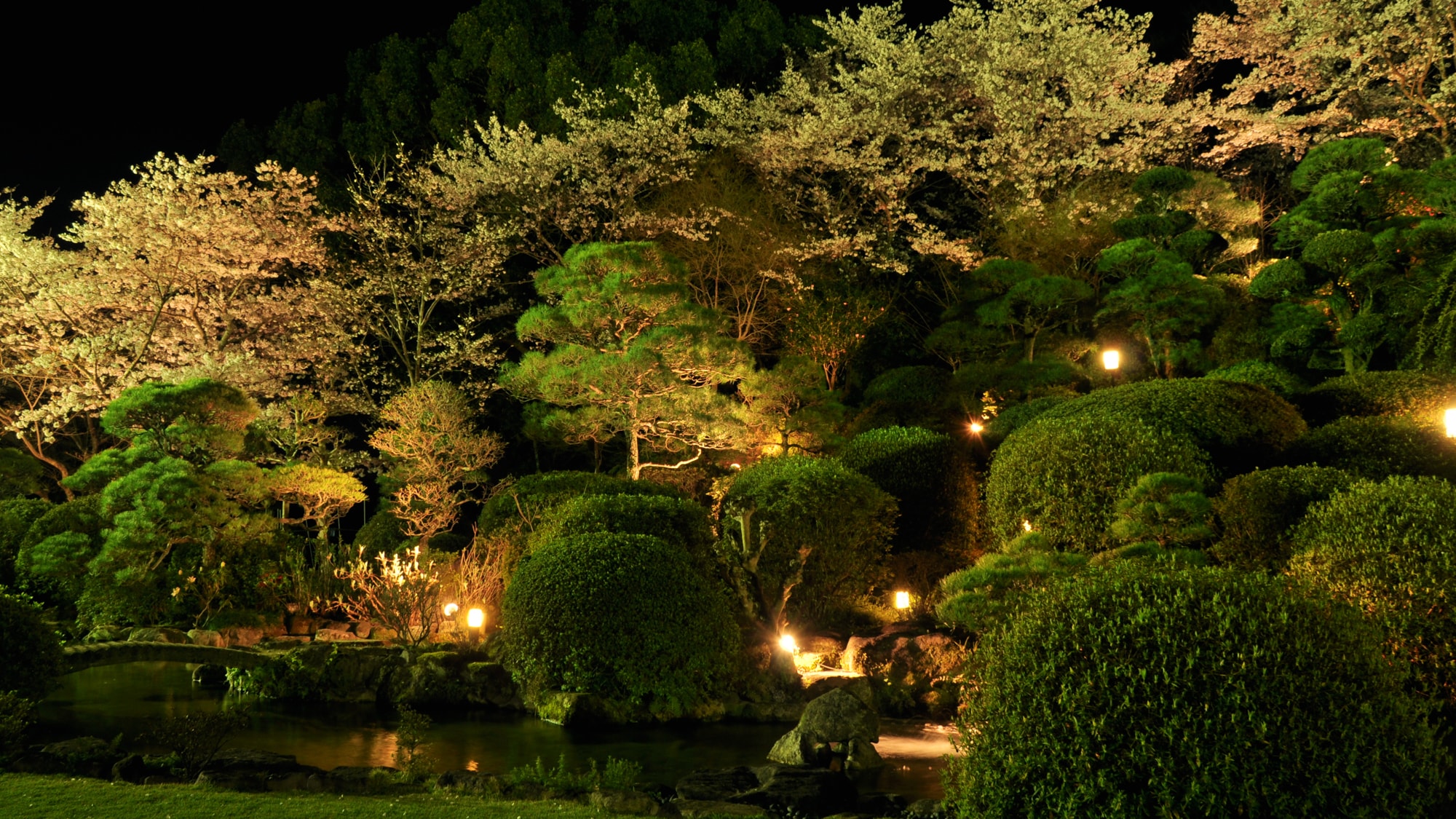 灯火通明的夜花园