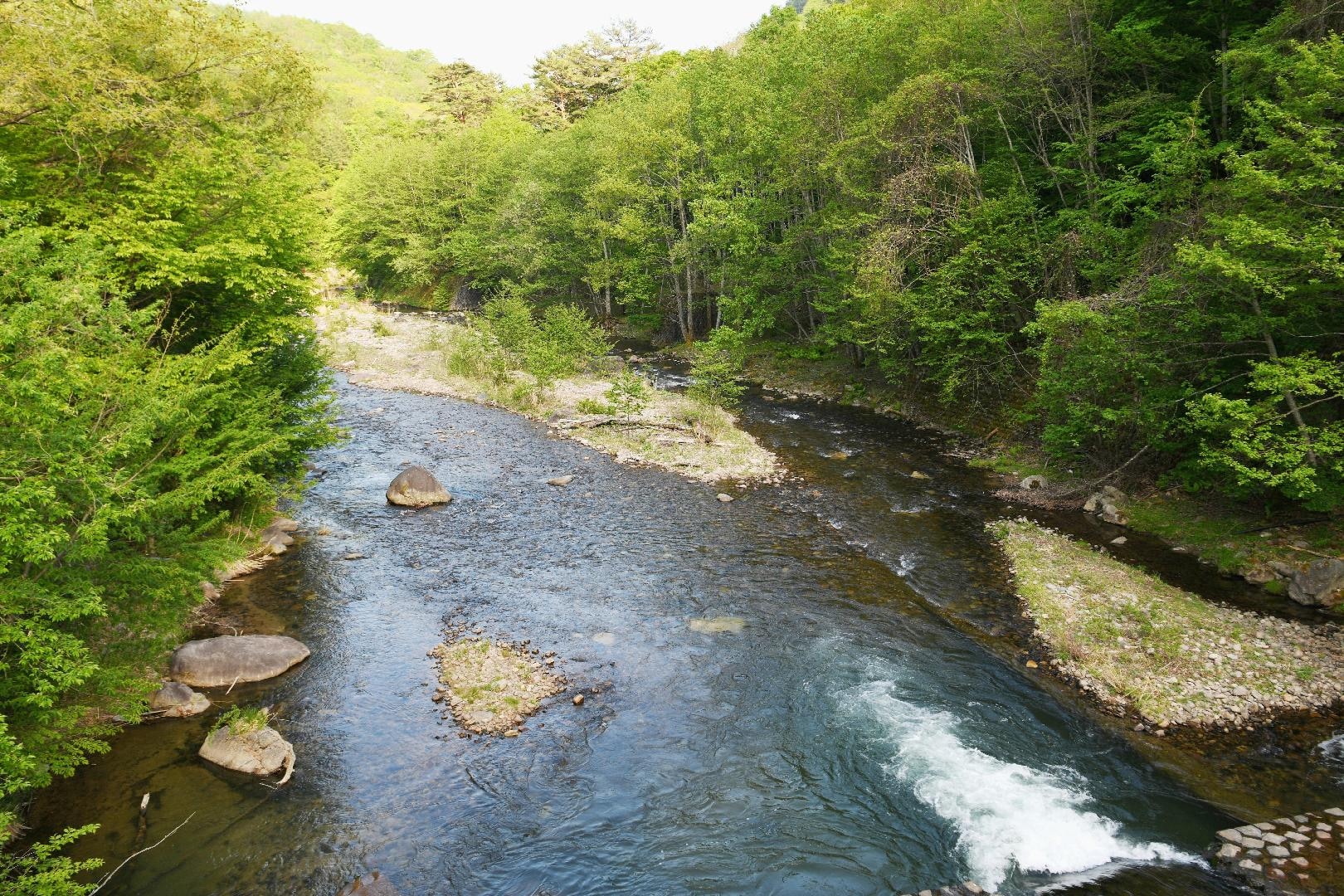 DSC_0253.JPG