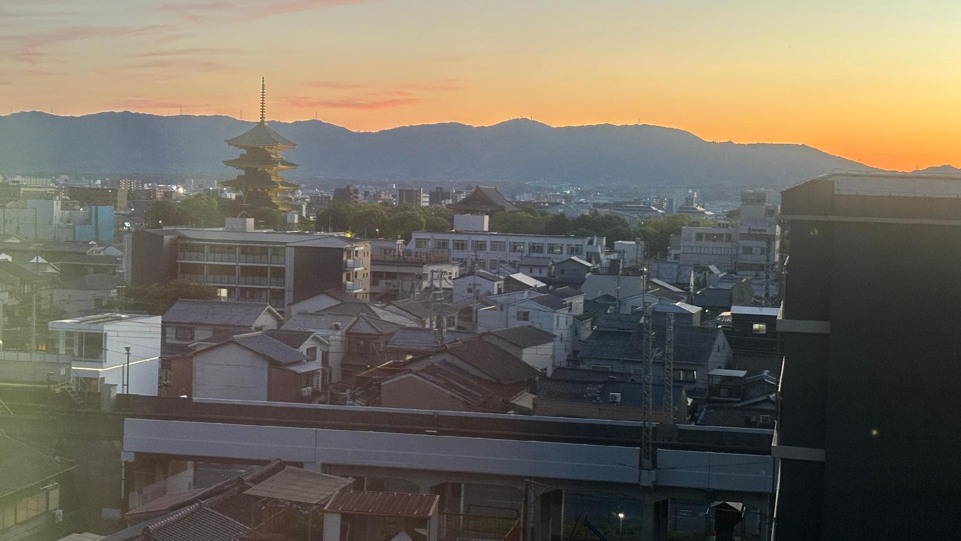 IMG_6652.jpeg