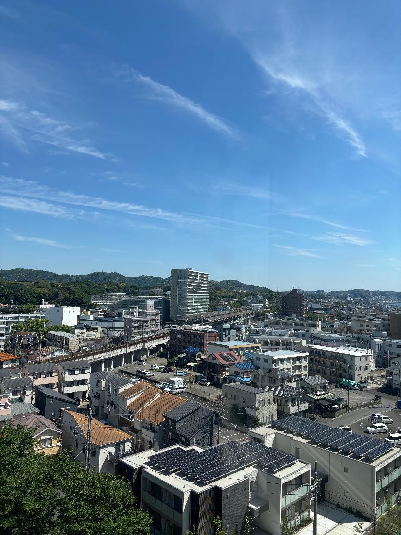 IMG_3305.jpeg