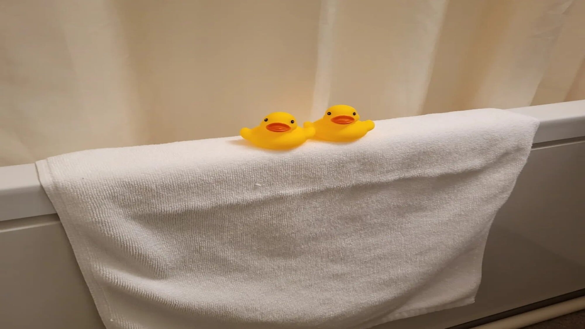 Guest Rooms | Bathrooms