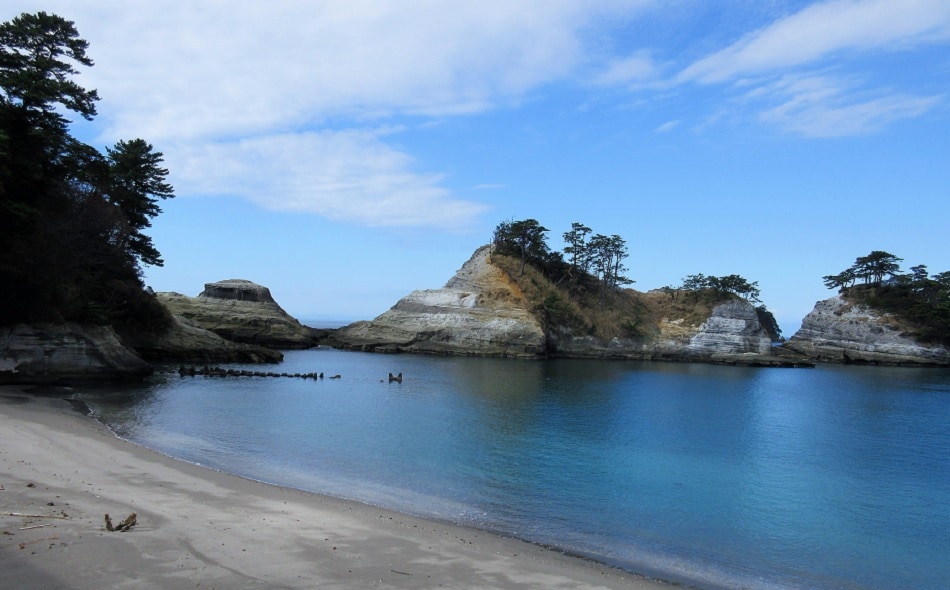 从乘滨海滩步行 2 分钟