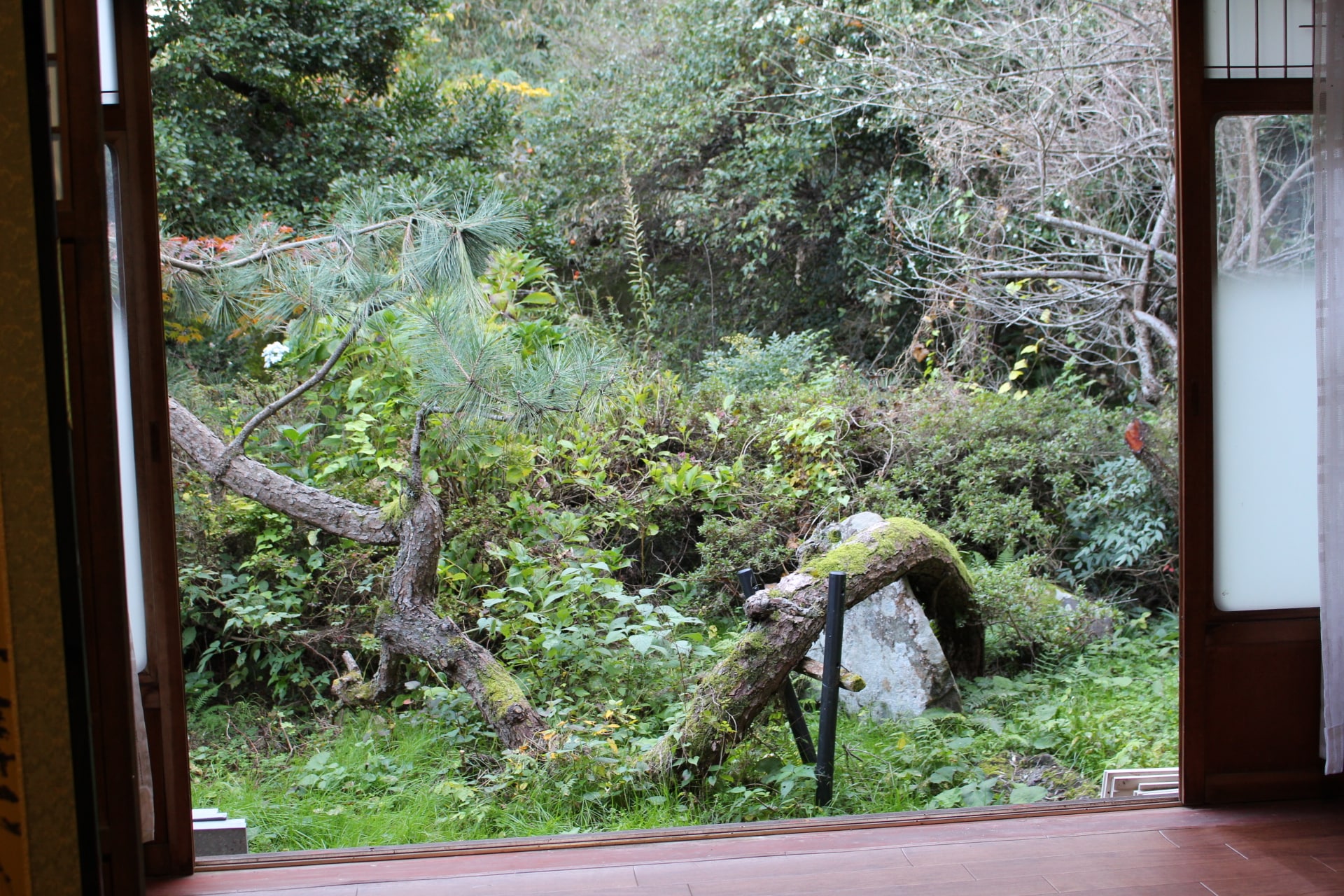 Japanese-style room 2