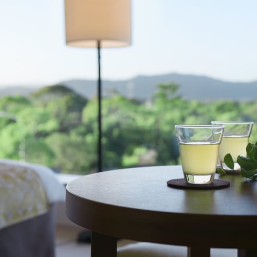 [Premier Deluxe Room]