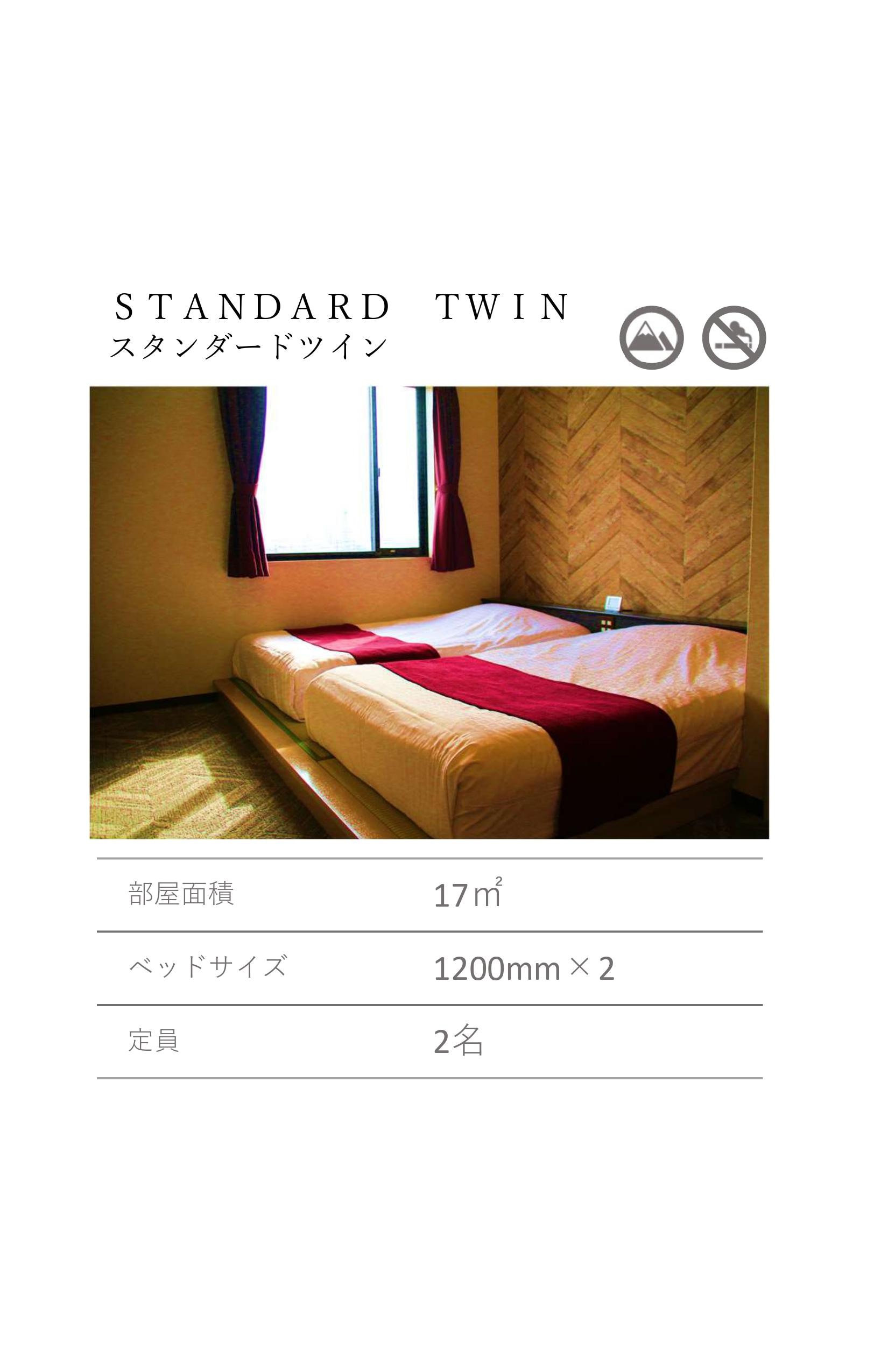 Standard Twin 1