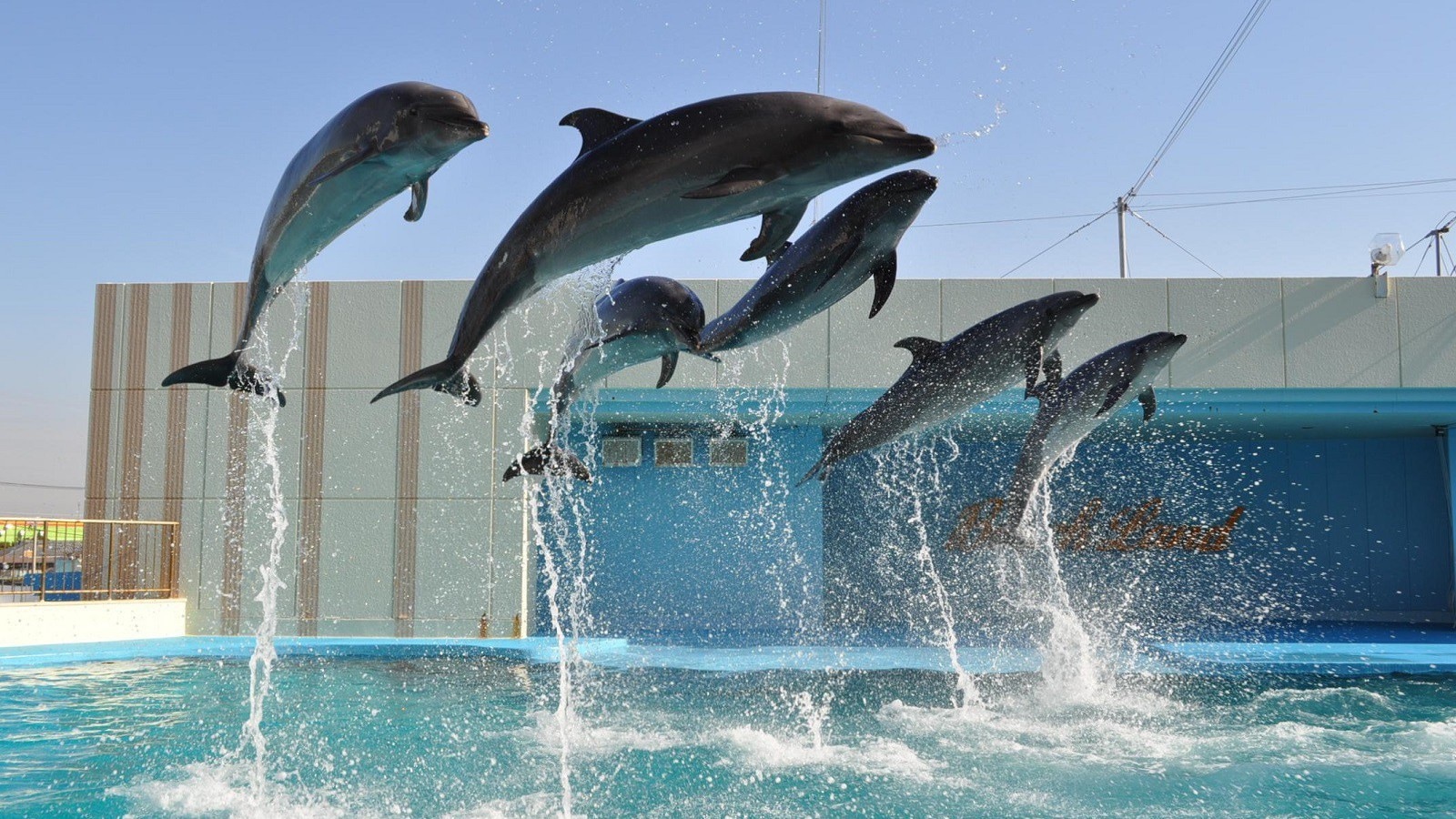 Paket termasuk tiket masuk ke Minamichita Beachland sekarang mulai dijual! !