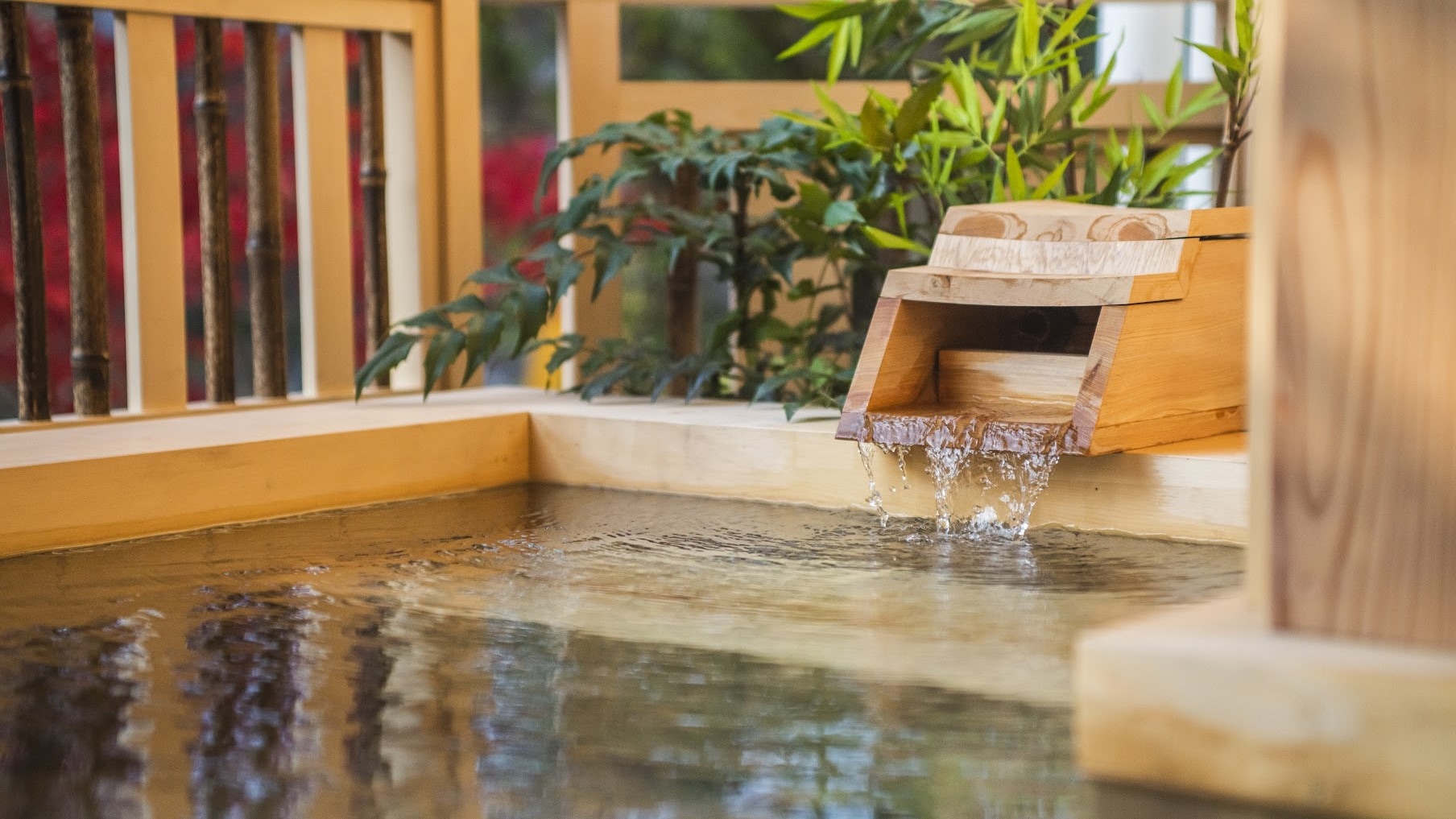 Guest room with open-air bath Twin room (open-air bath)