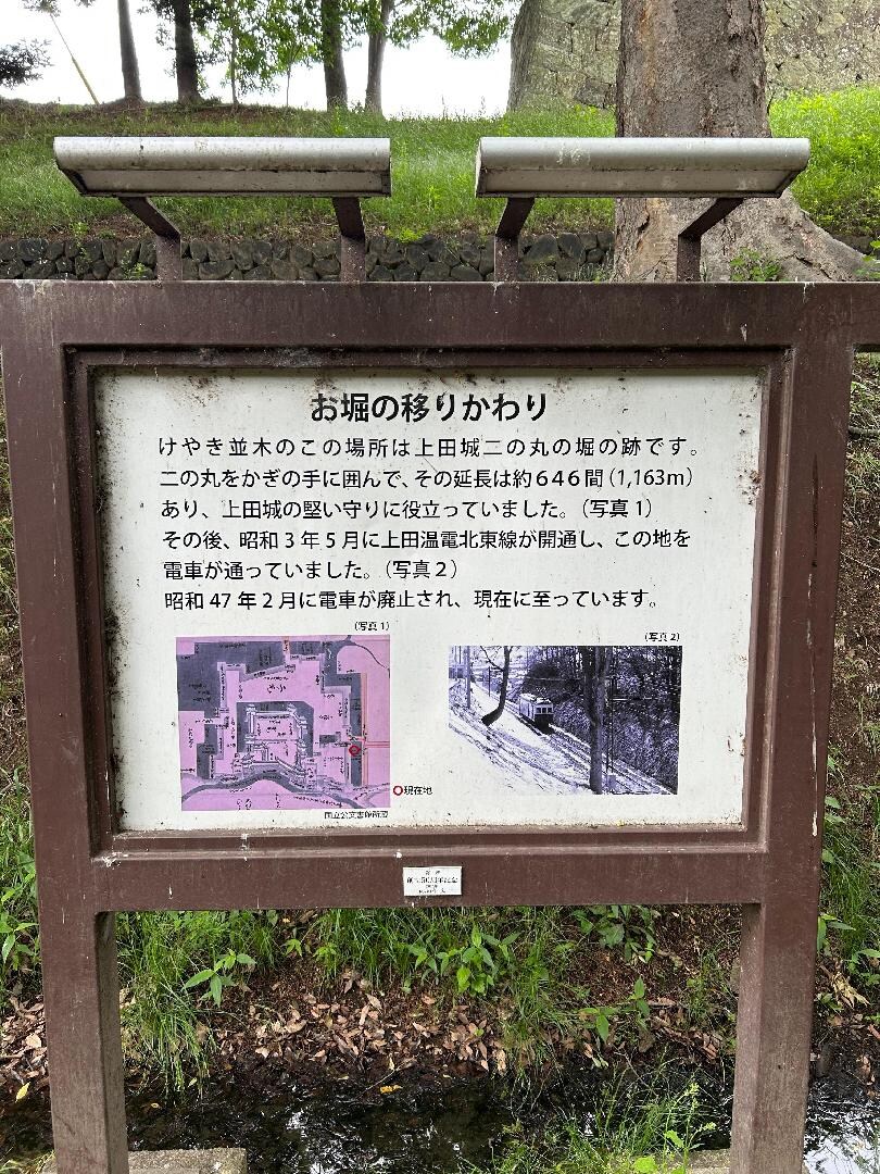 6509165F-718A-46B4-B171-4A9292BC5070.jpeg