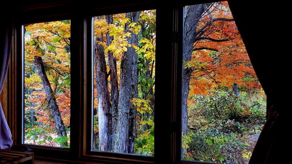 ใบไม้ร่วงมองจากห้อง 120