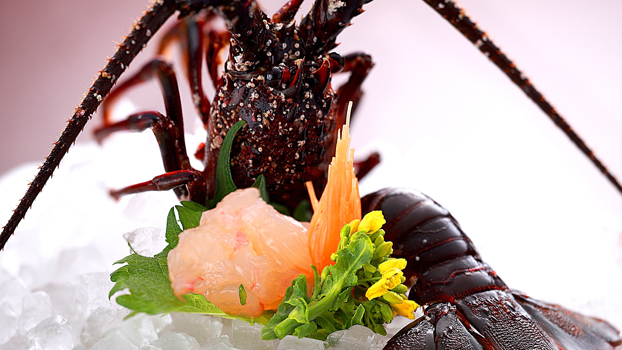 Lobster sashimi