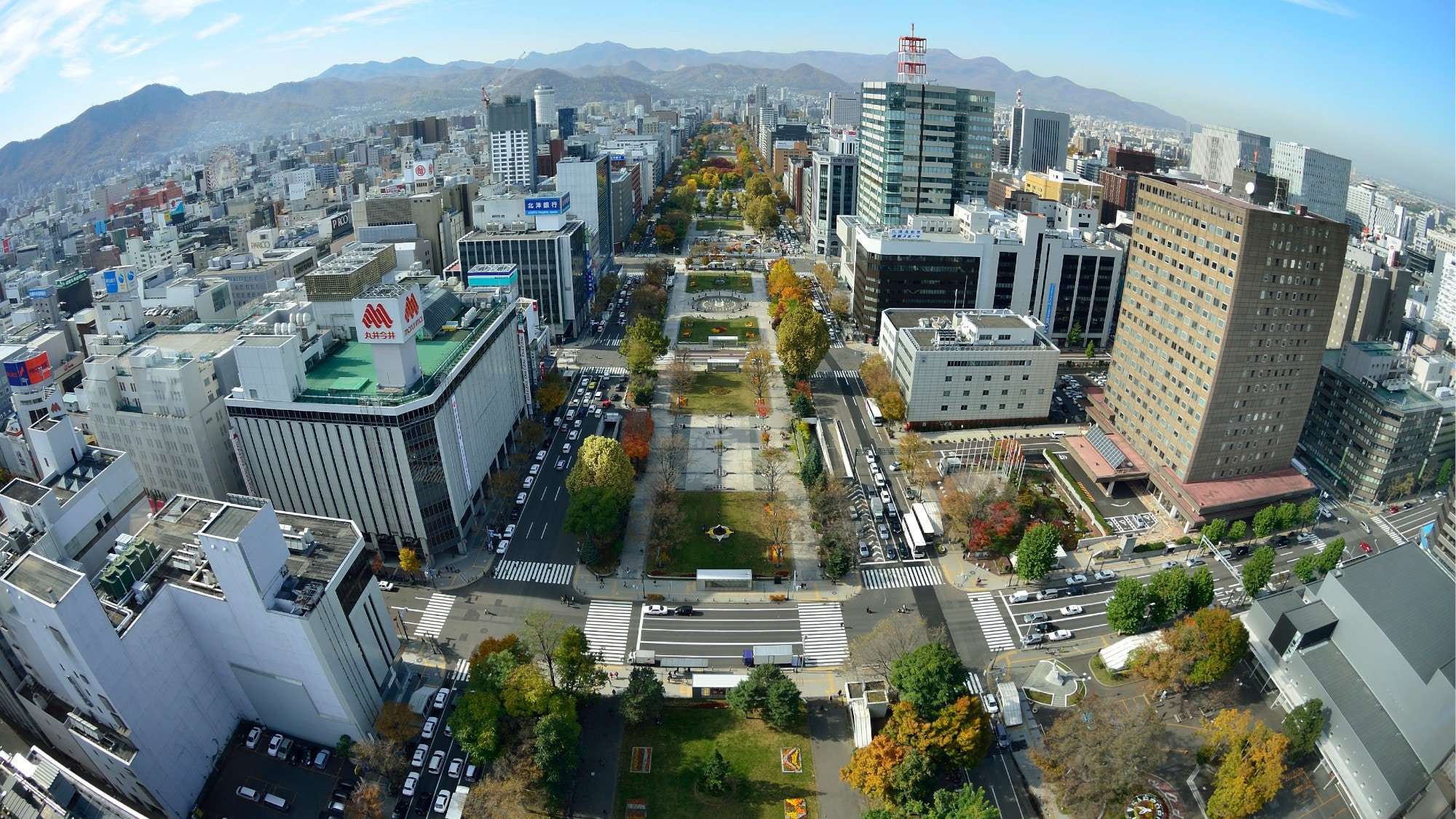 Odori Park (TV Tower view)