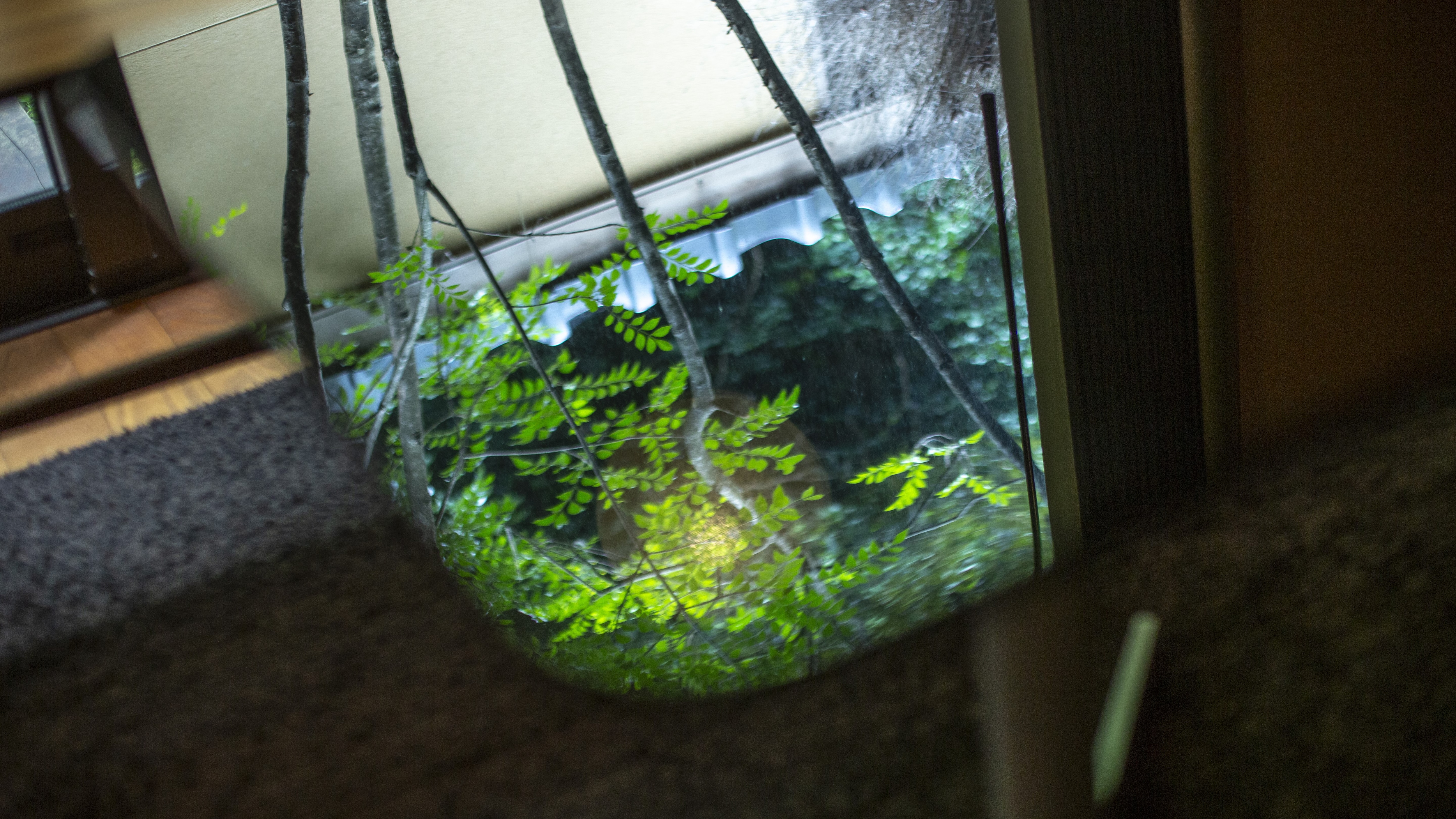 [New Wing・Haruka] A Western-style room with a spring-like image, with cross beams reminiscent of a forest lodge. Comes with a private courtyard garden and wooden deck.