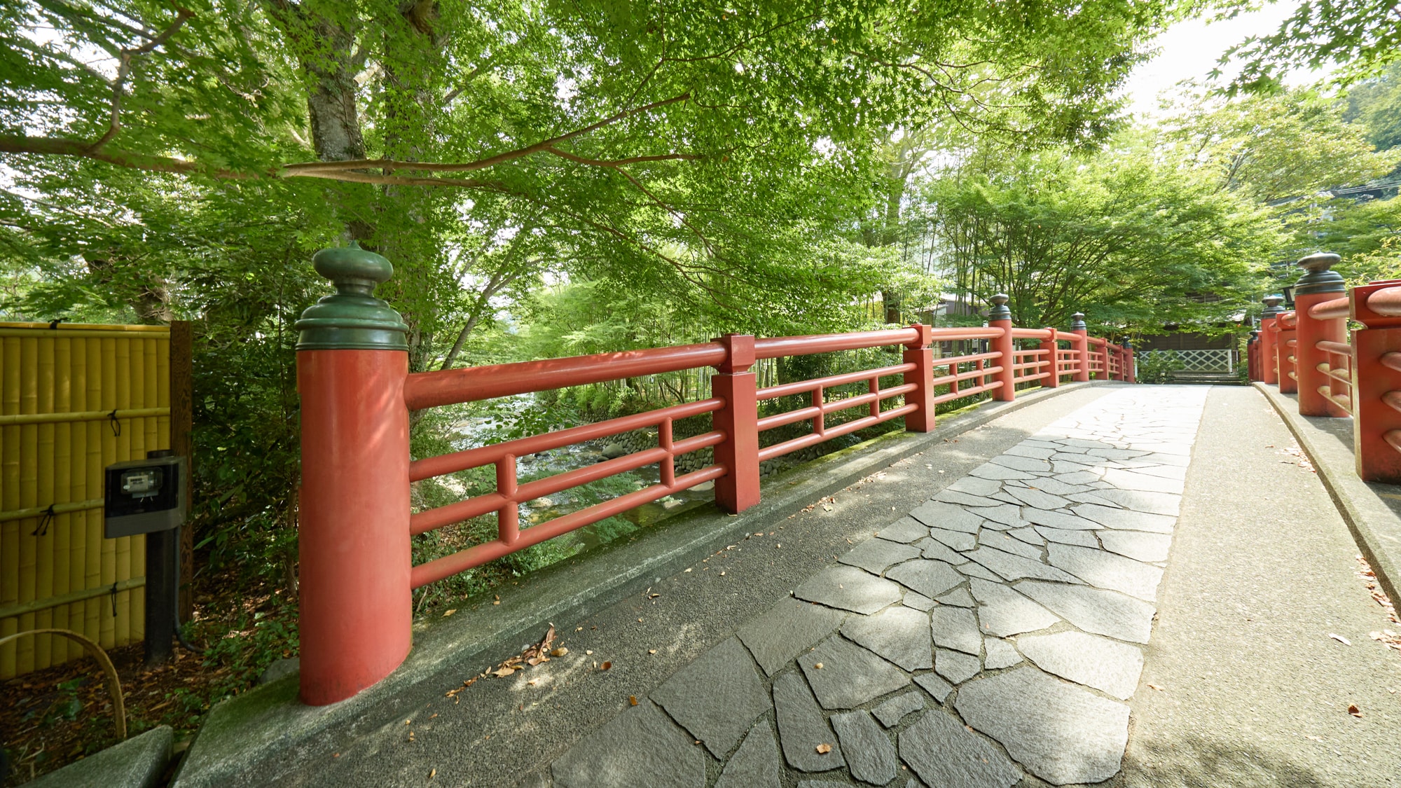 [Nearby sightseeing] Katsura River Nature