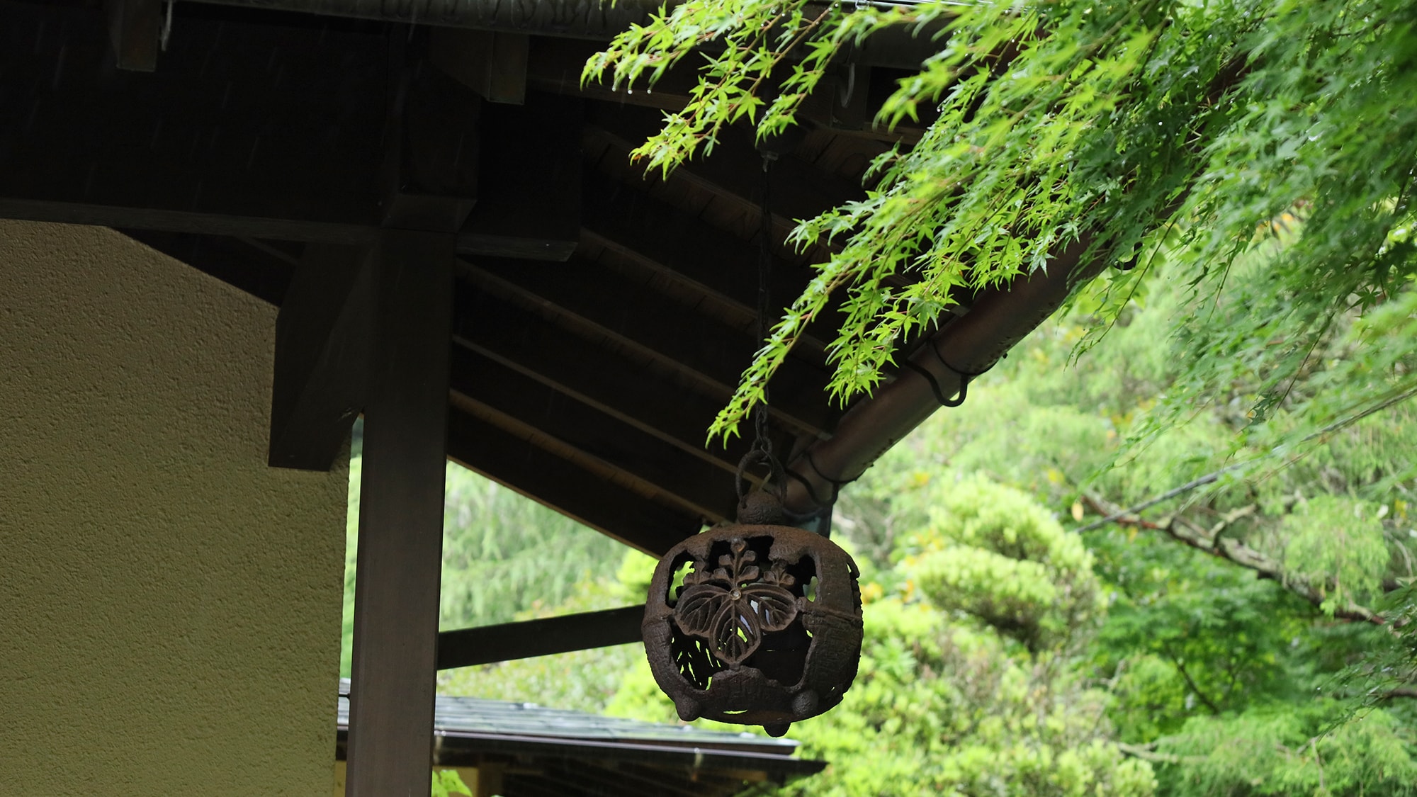 [Surrounding scenery] The lush greenery of nature is soothing.