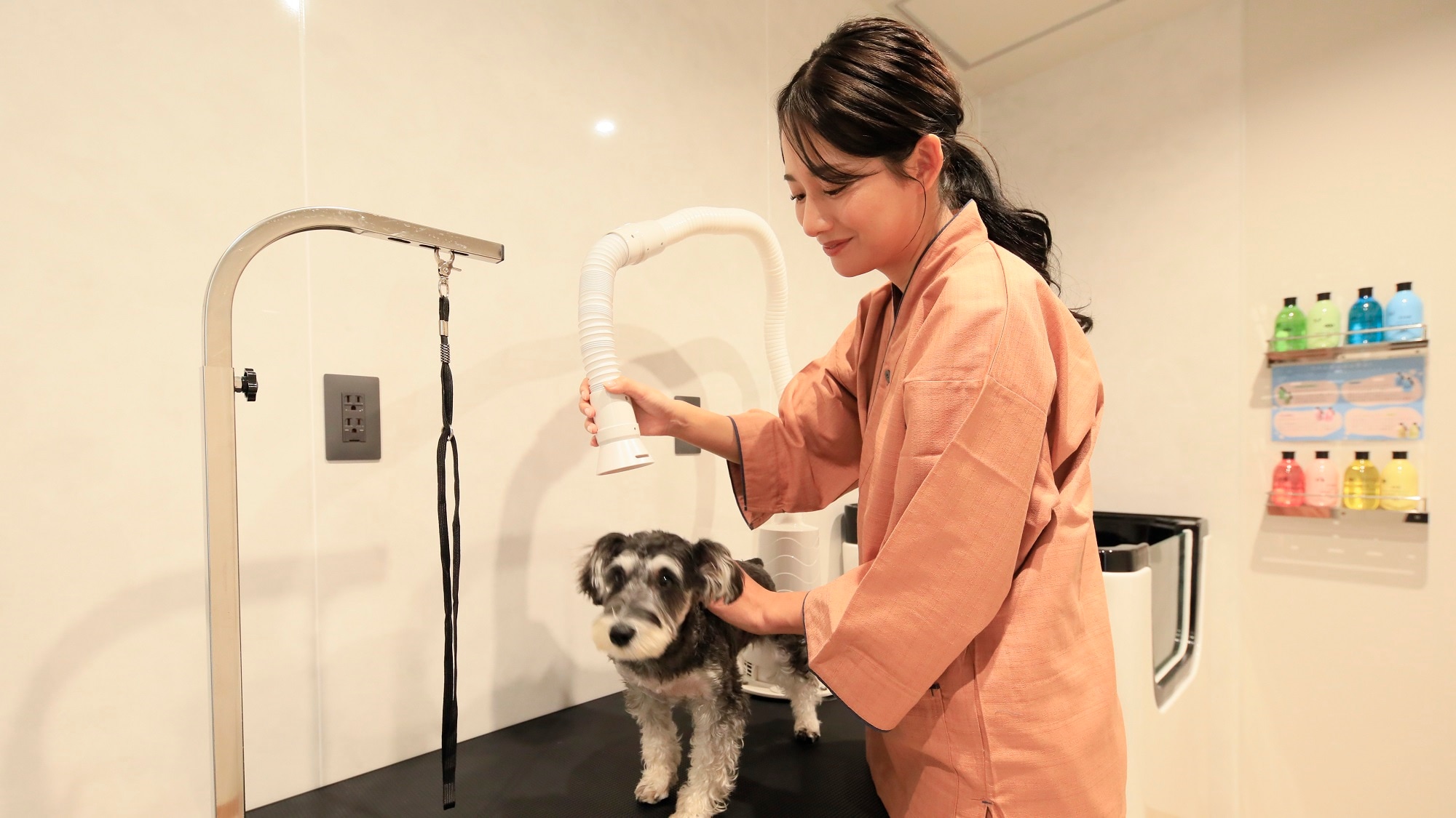 [Grooming Room] We have a restorative hair dryer available to care for your pet's skin and fur. (Example)