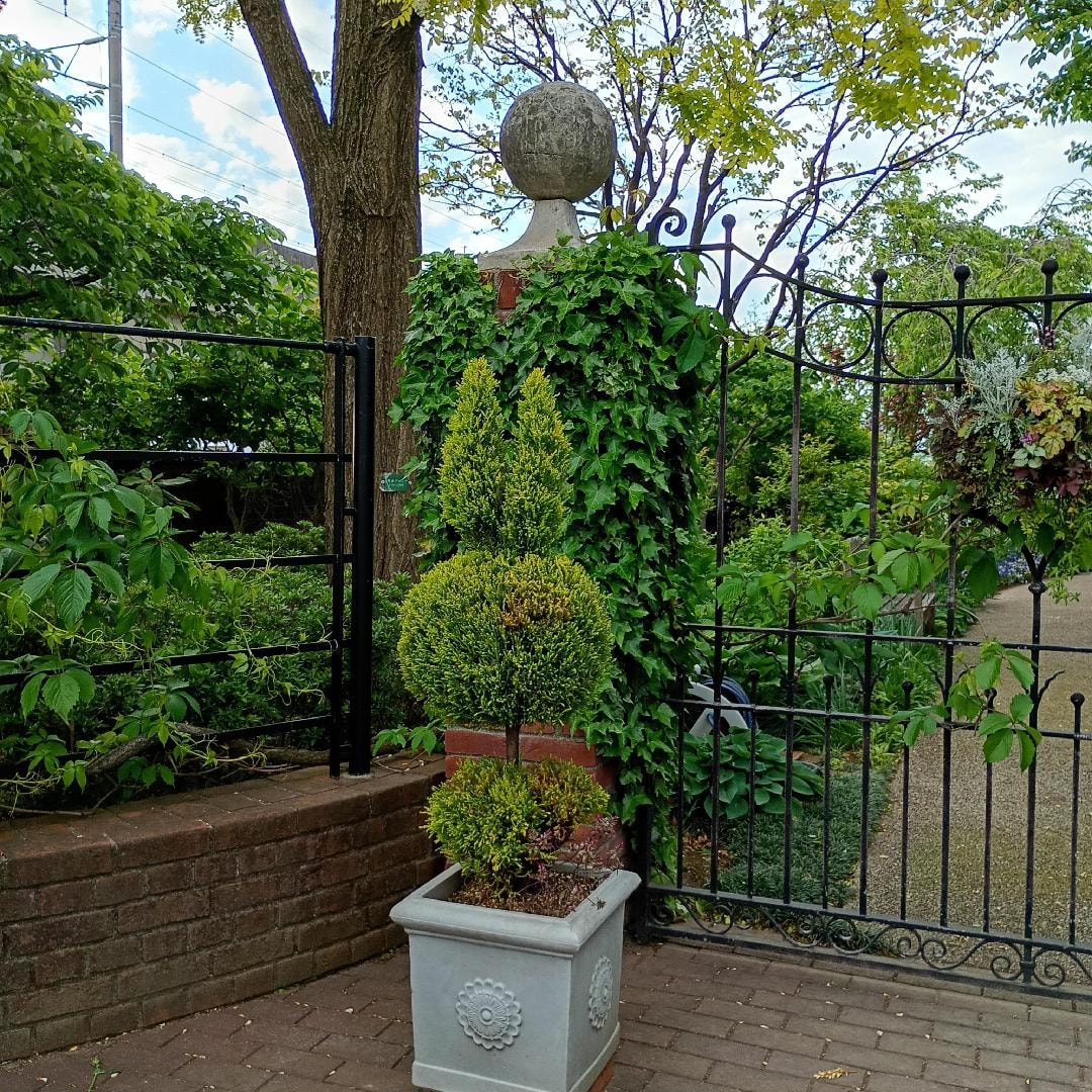 1000017736.jpg
