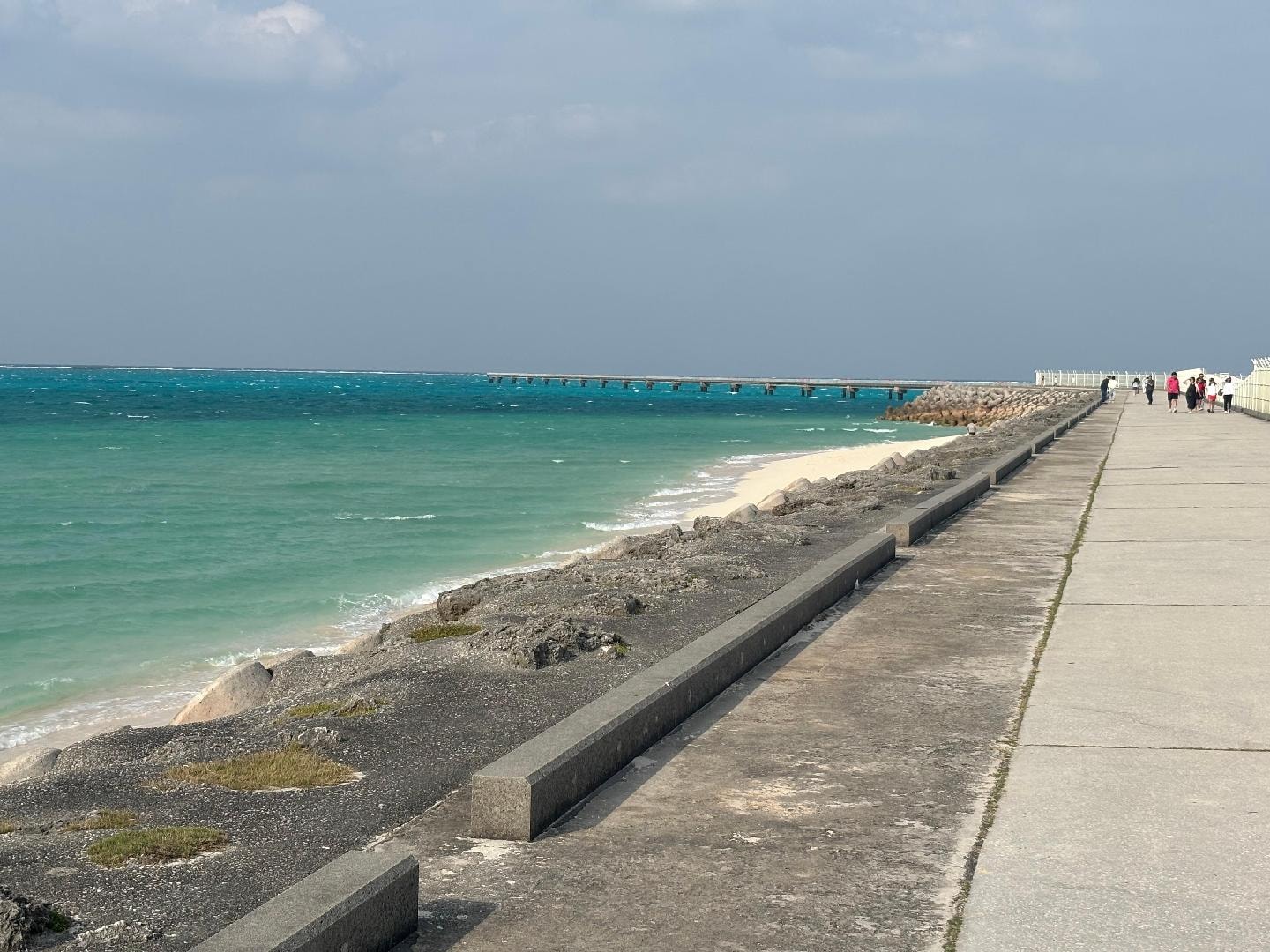 写真 2025-11-25 15 03 18.jpg