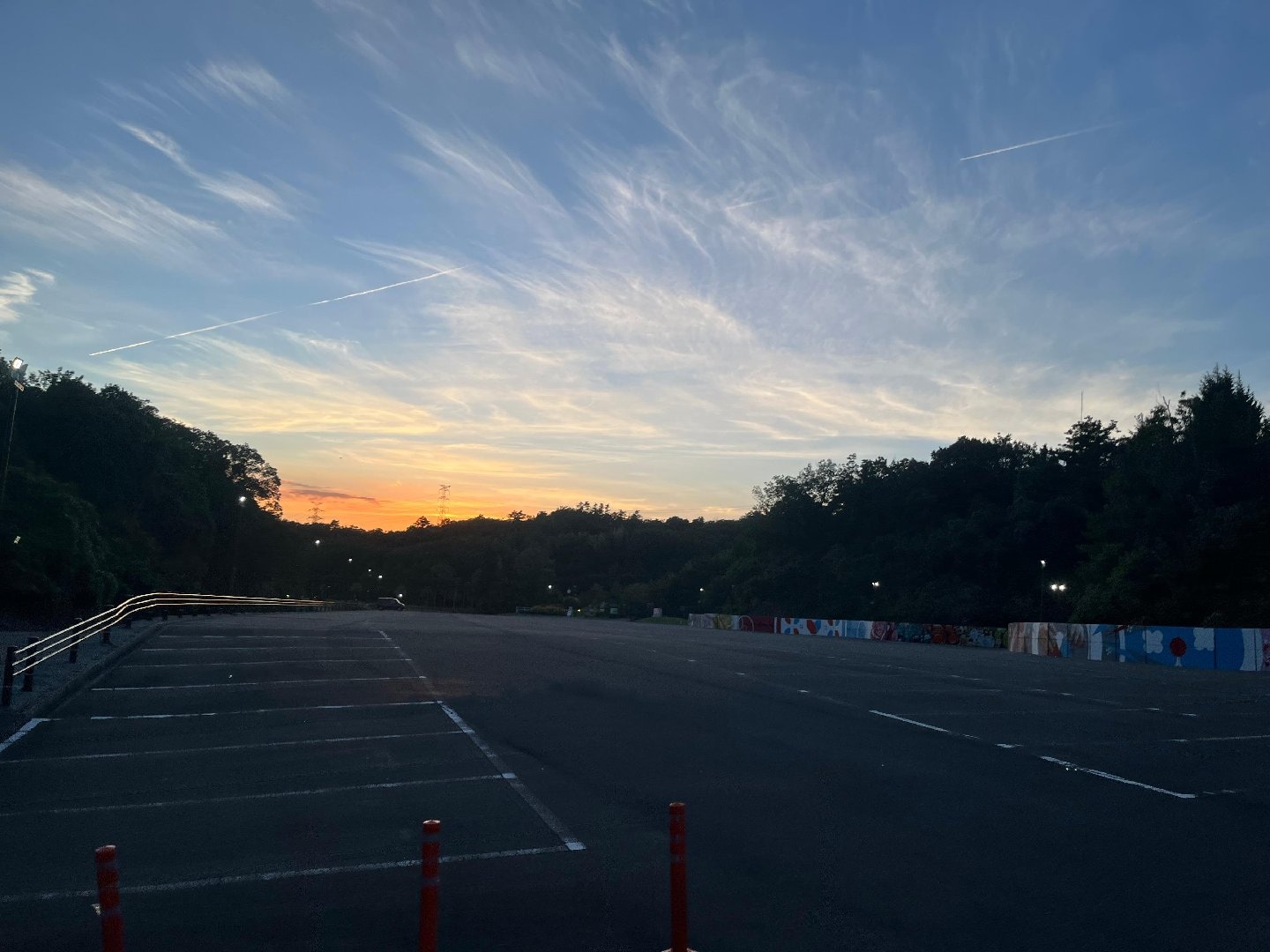 IMG_3438.jpeg