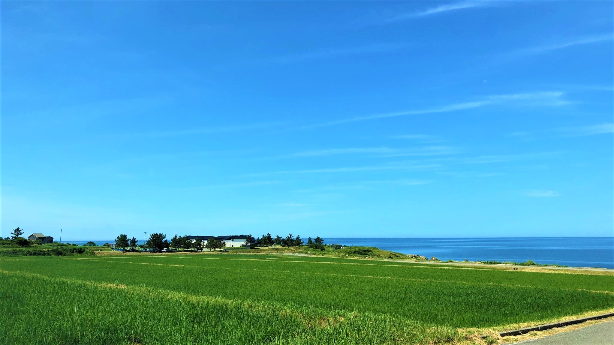 [Hotel seen from the approach road]