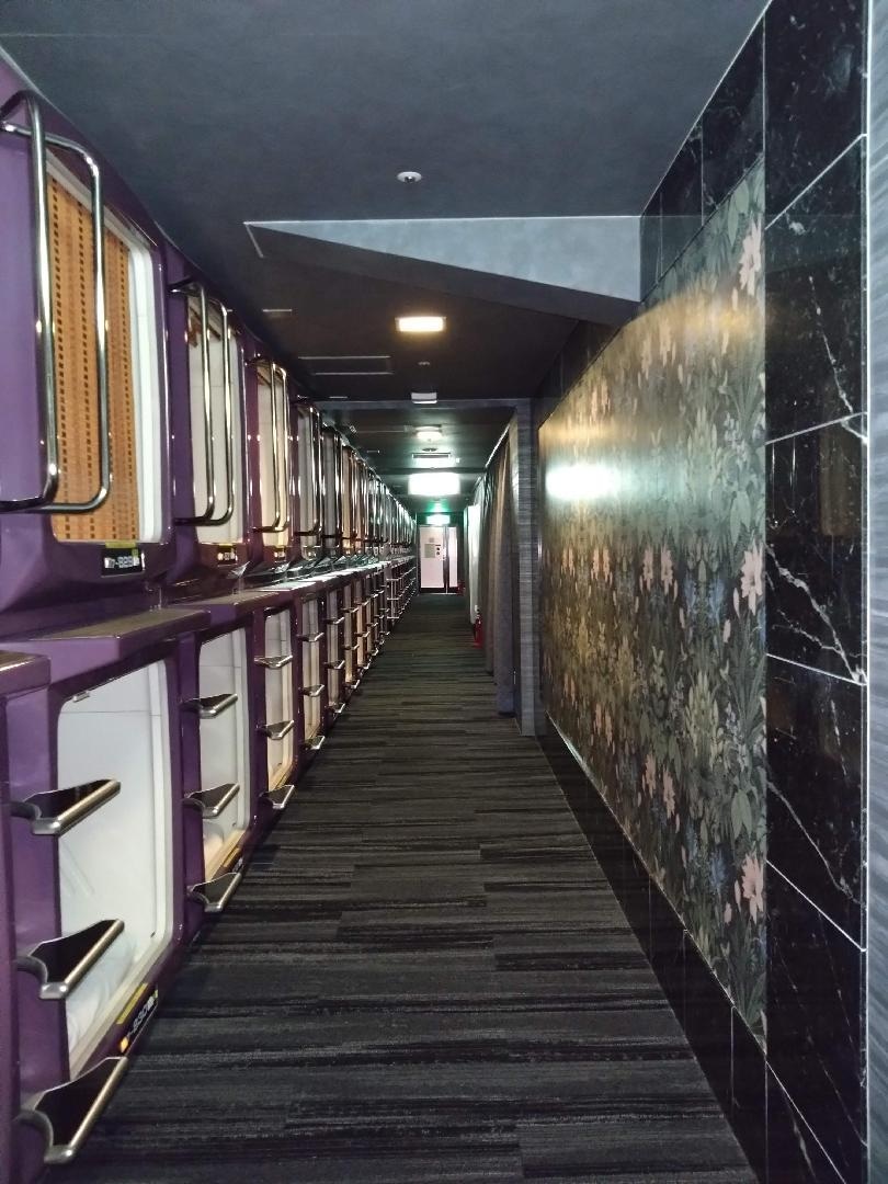 Fuji カプセル.JPG