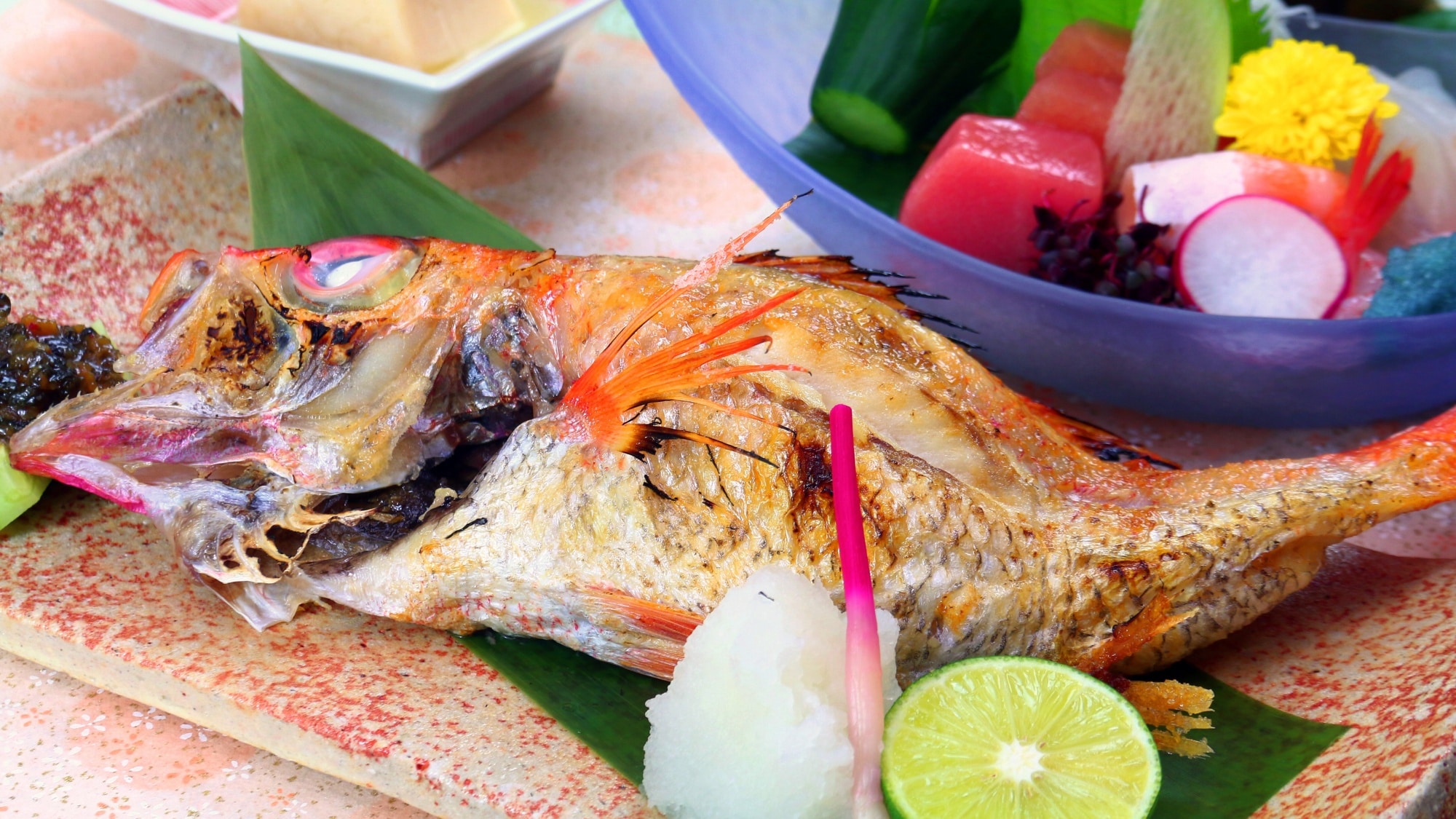 [Nodoguro (rosy seabass) grilled with salt] The rare luxury fish, Nodoguro (rosy seabass), is grilled with salt. The soft, refined sweetness spreads throughout your mouth and is absolutely delicious!