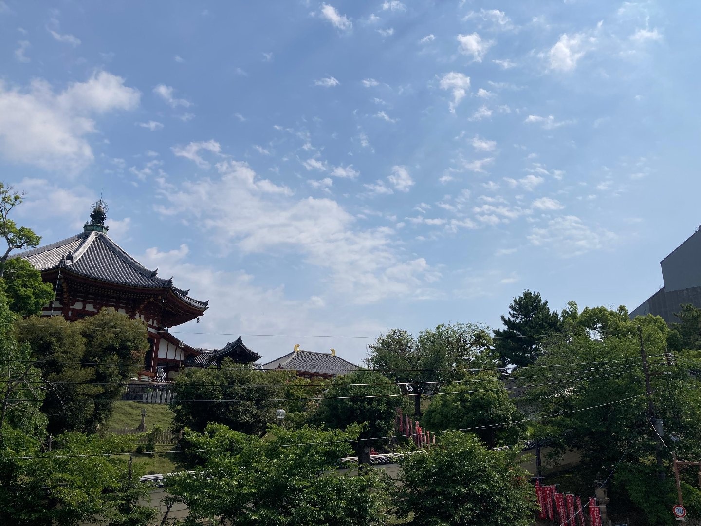 240CF251-9E05-4F1F-B062-B31B3323D3AA.jpeg