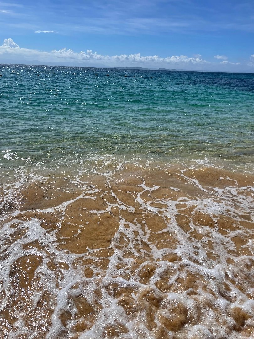 DC800B0B-83C8-4912-88CF-C08C066D1482.jpeg