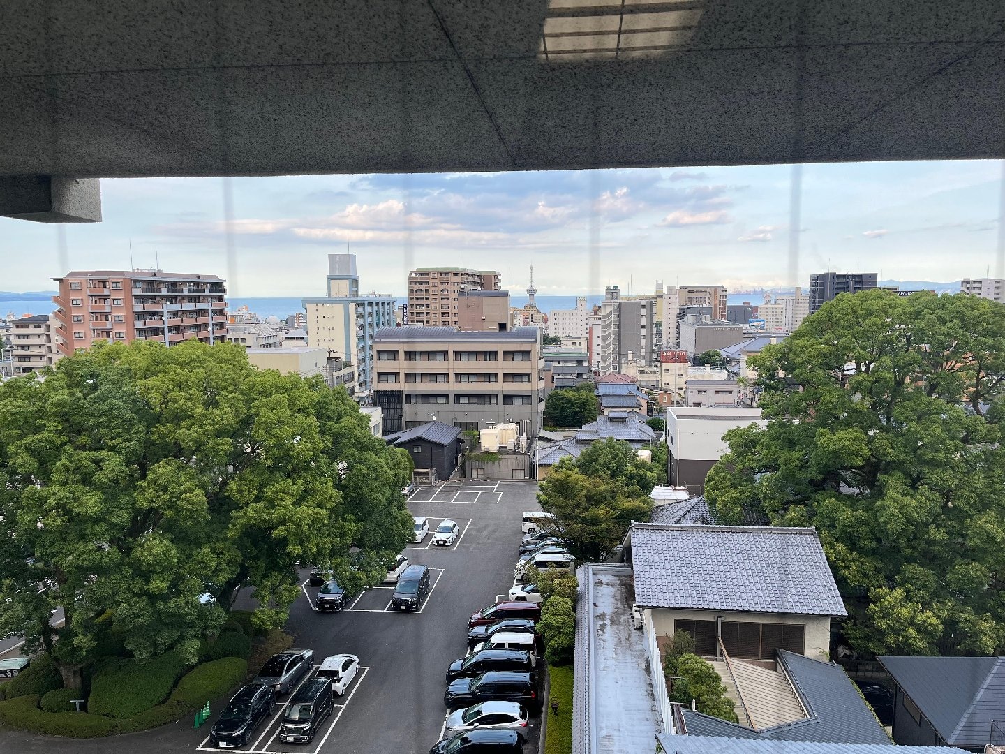 IMG_4781.jpeg