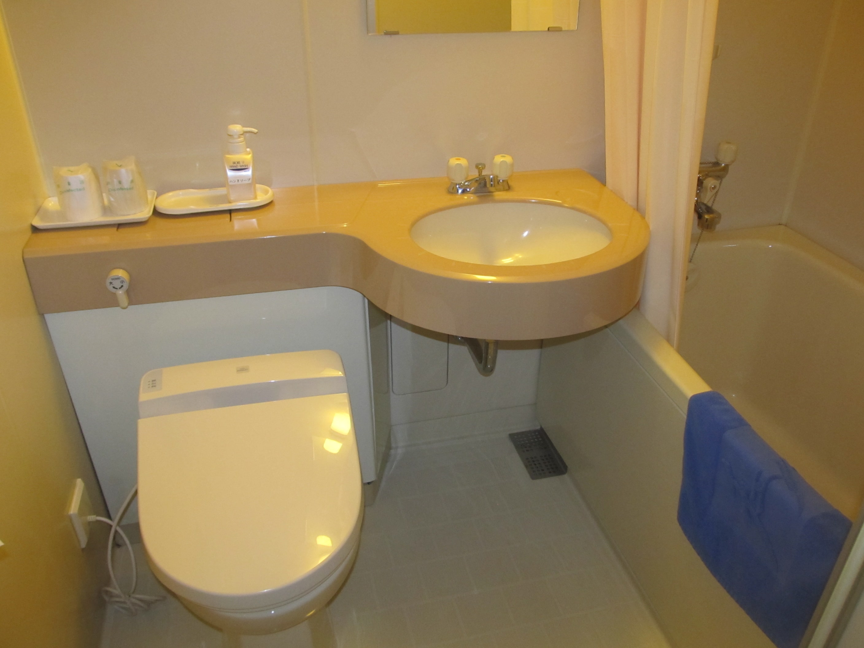 Japanese-style room and washroom