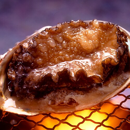 Grilled abalone