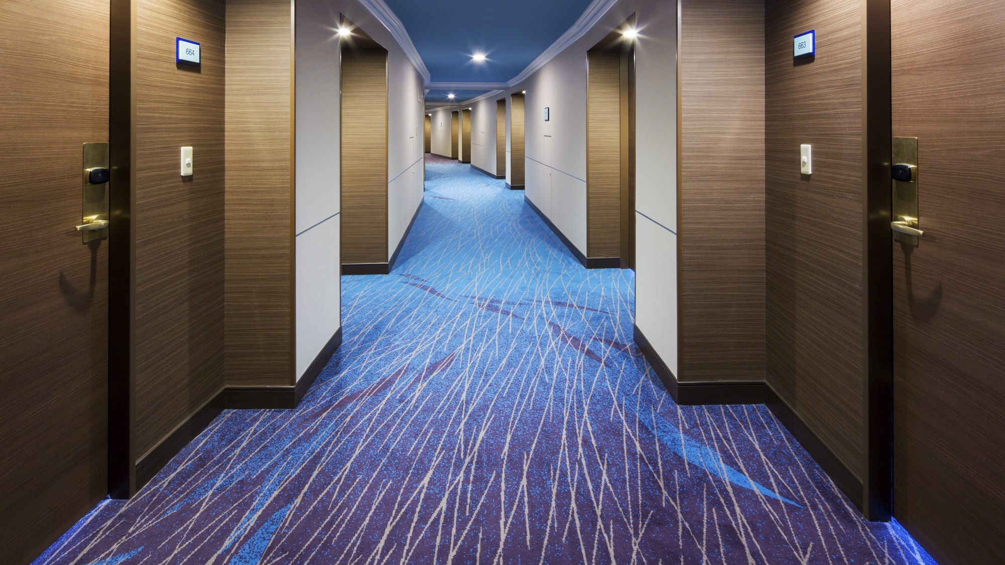 Ocean Dream Room Corridor
