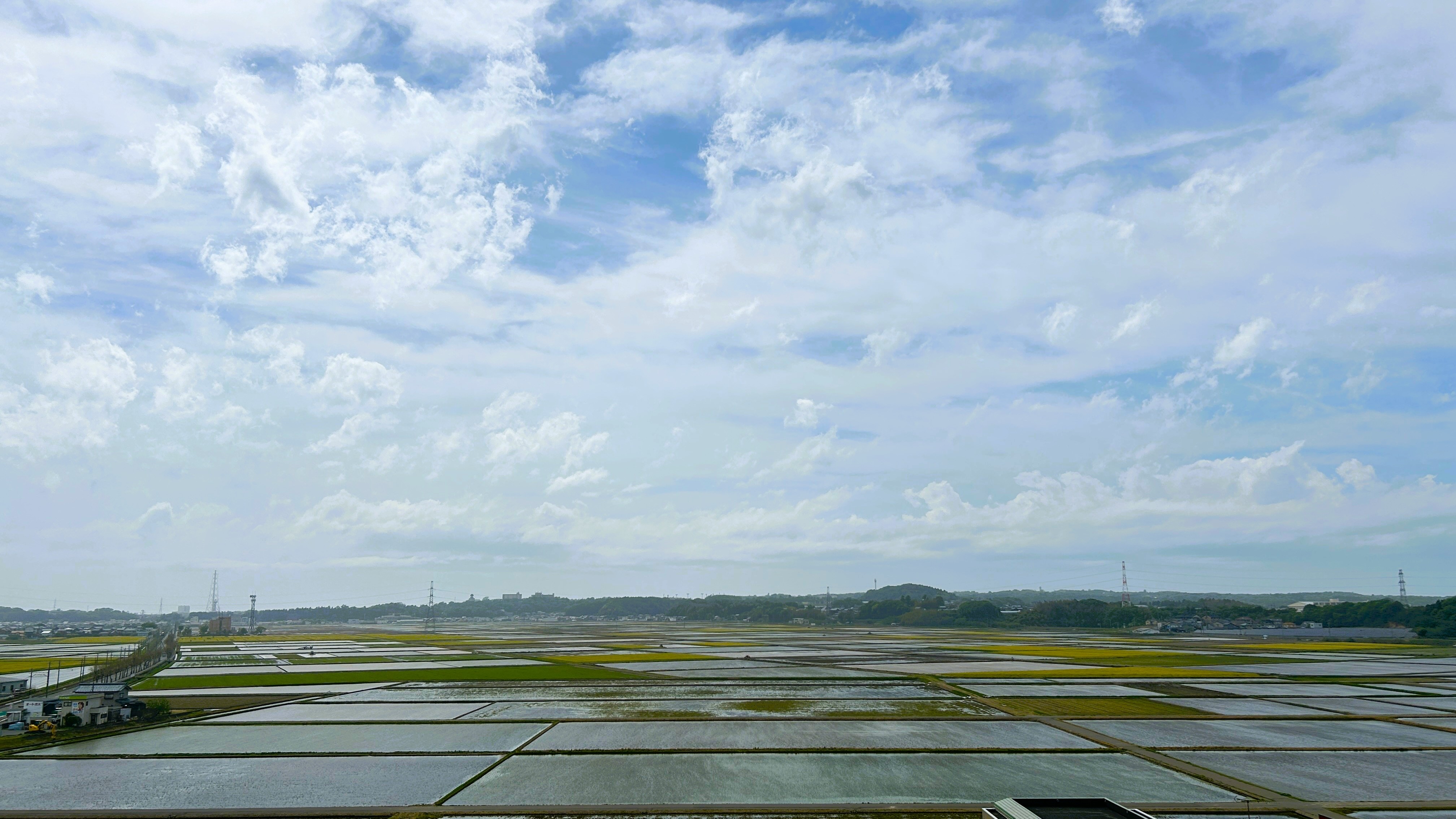 春～夏せんせん館からの風景