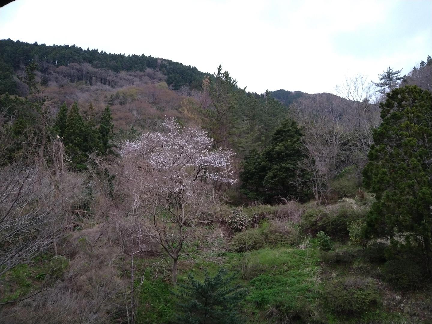 DSC_2059.JPG