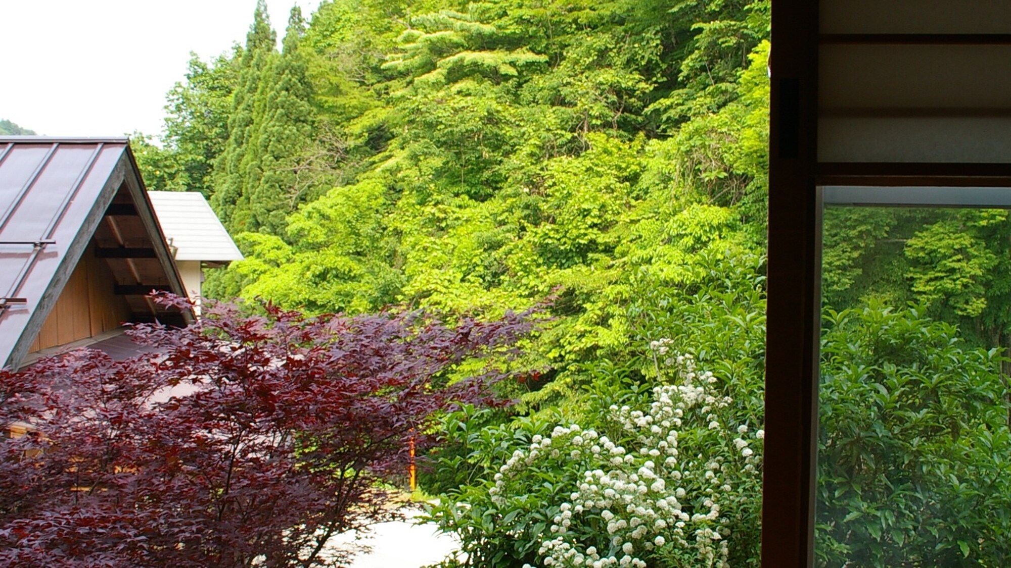 * View from guest room (example)