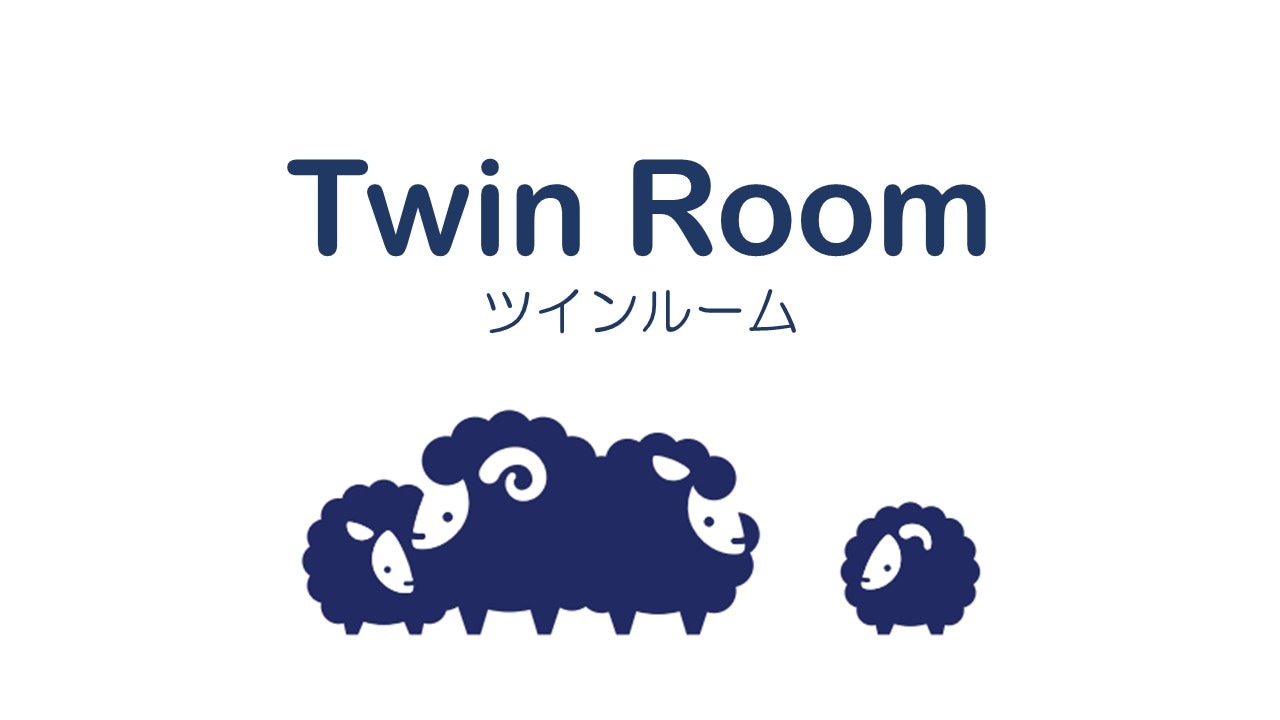 Twin room (capacity 3 people)