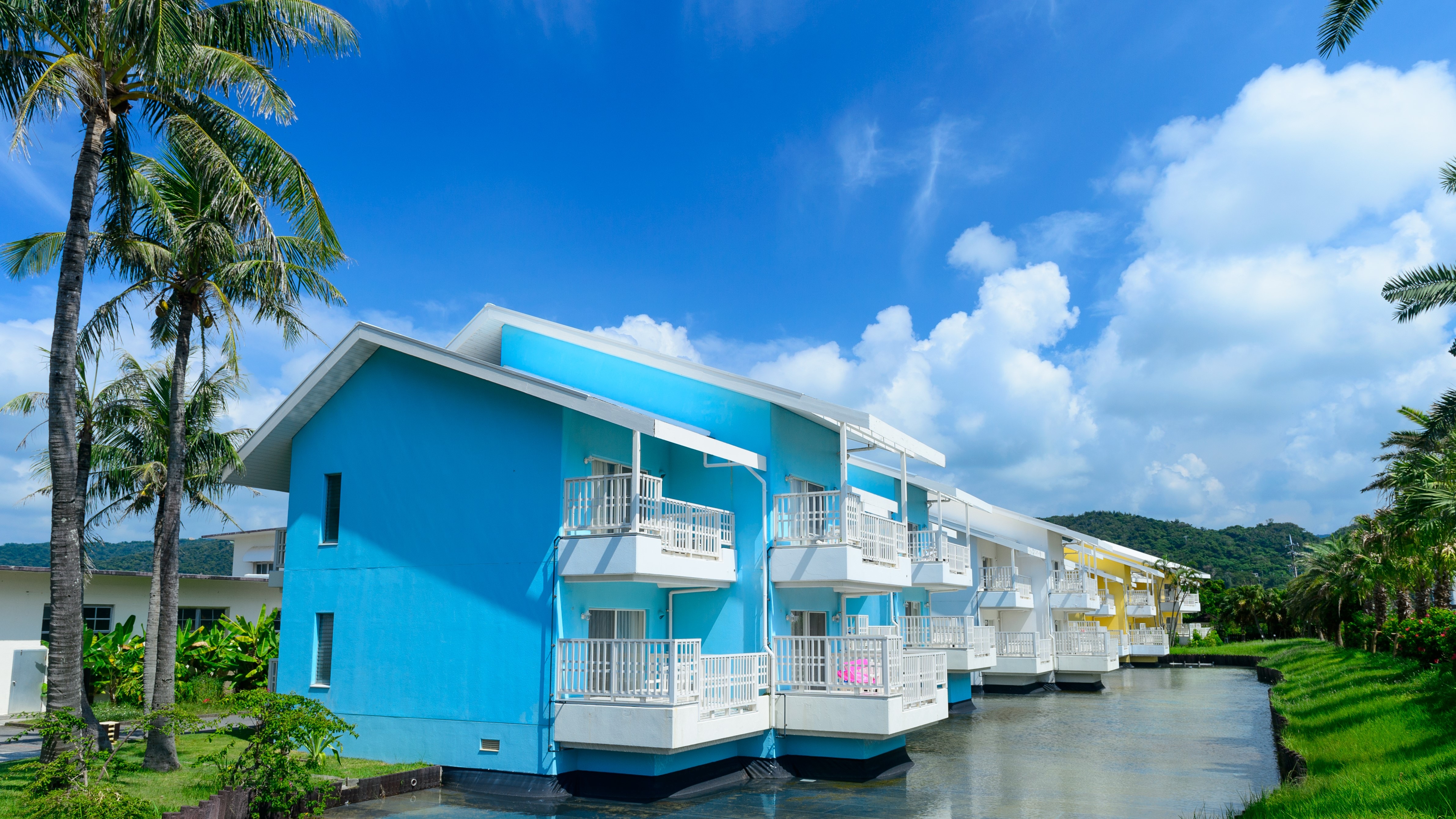 Palm cottage (appearance)