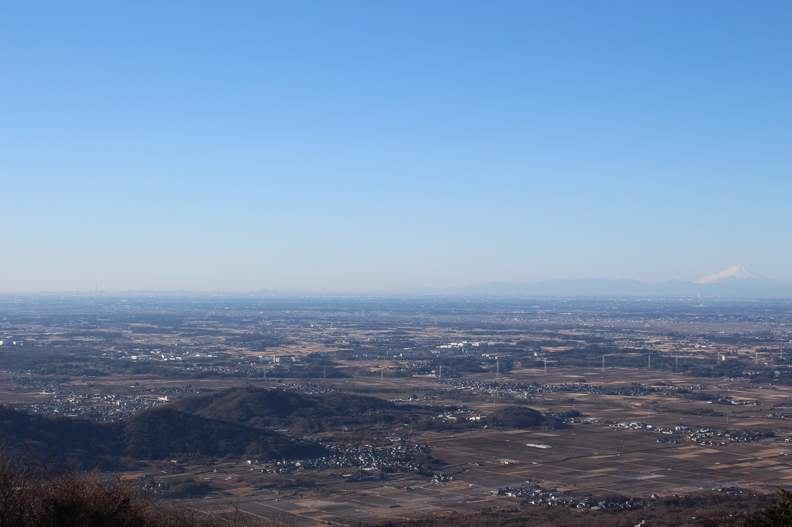 View (Skytree and Mt. Fuji)