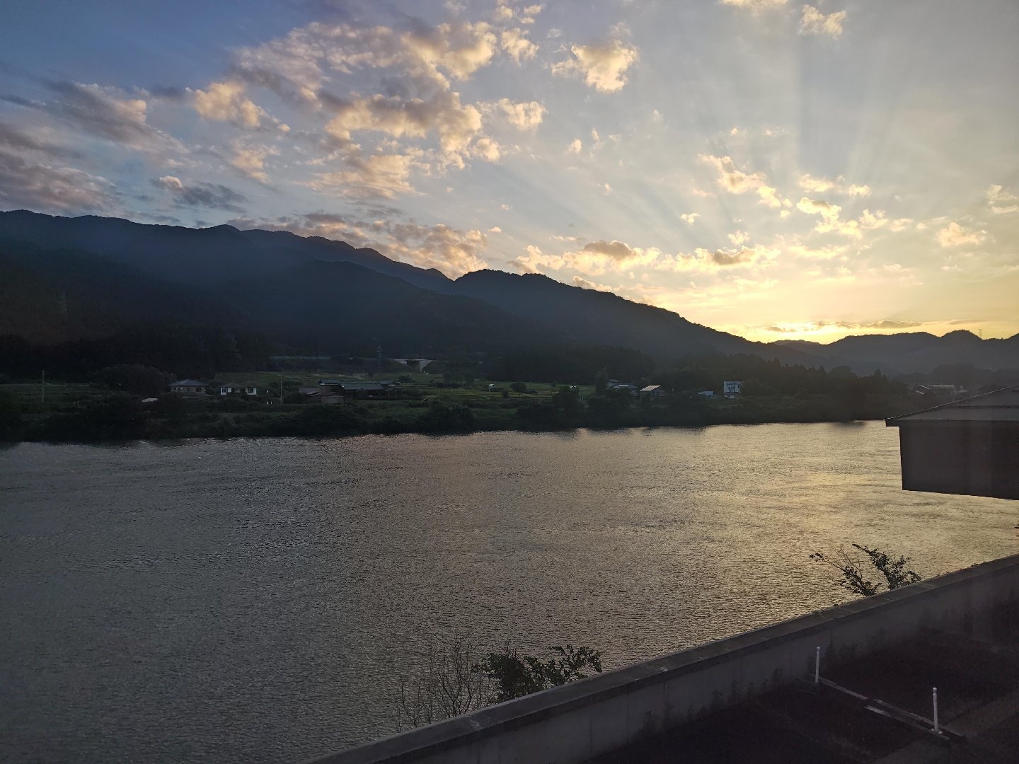 260807050826278.JPG