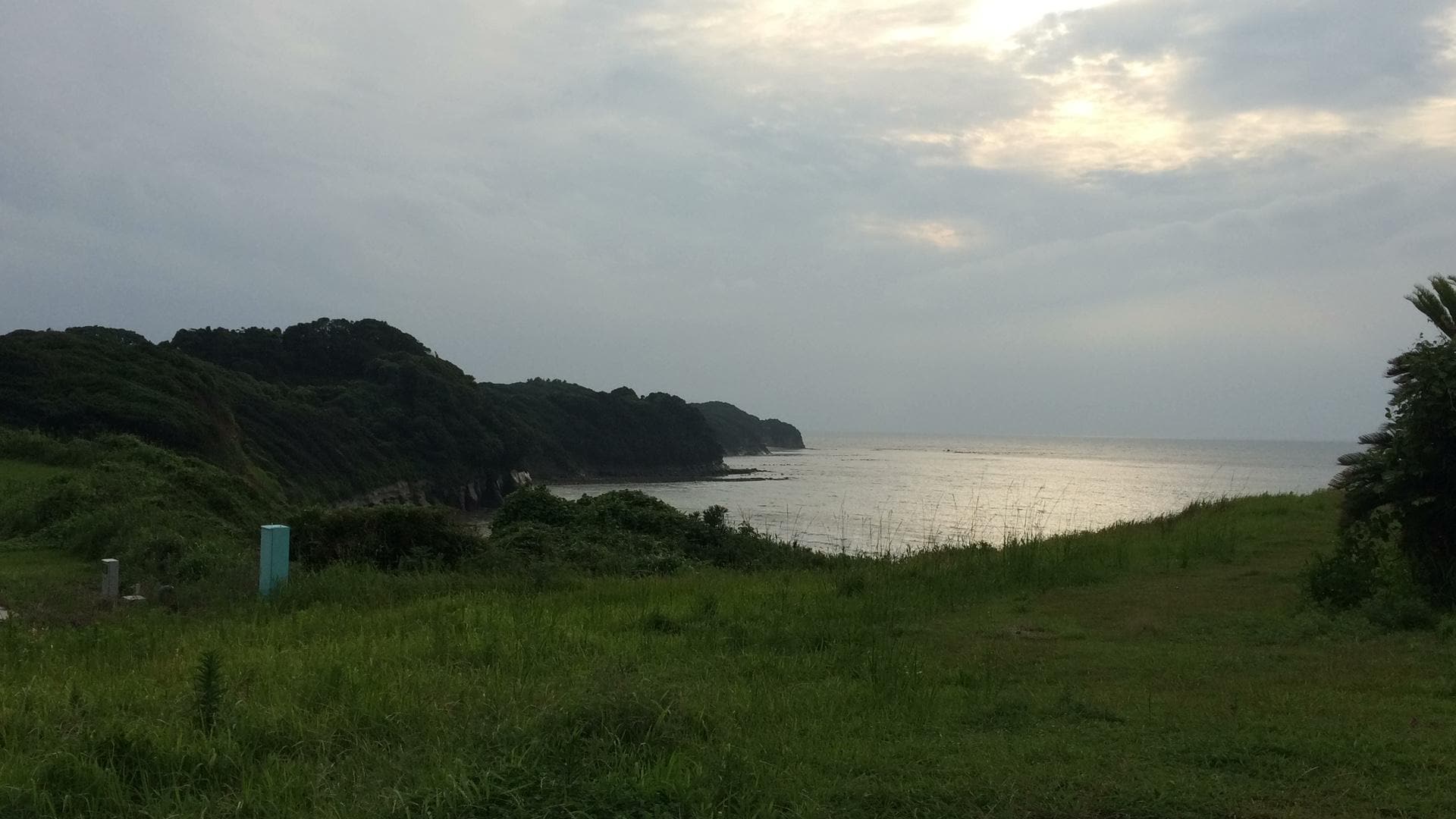 AA8FC18A-EEA8-4778-89CE-77A02969CE3D.jpeg