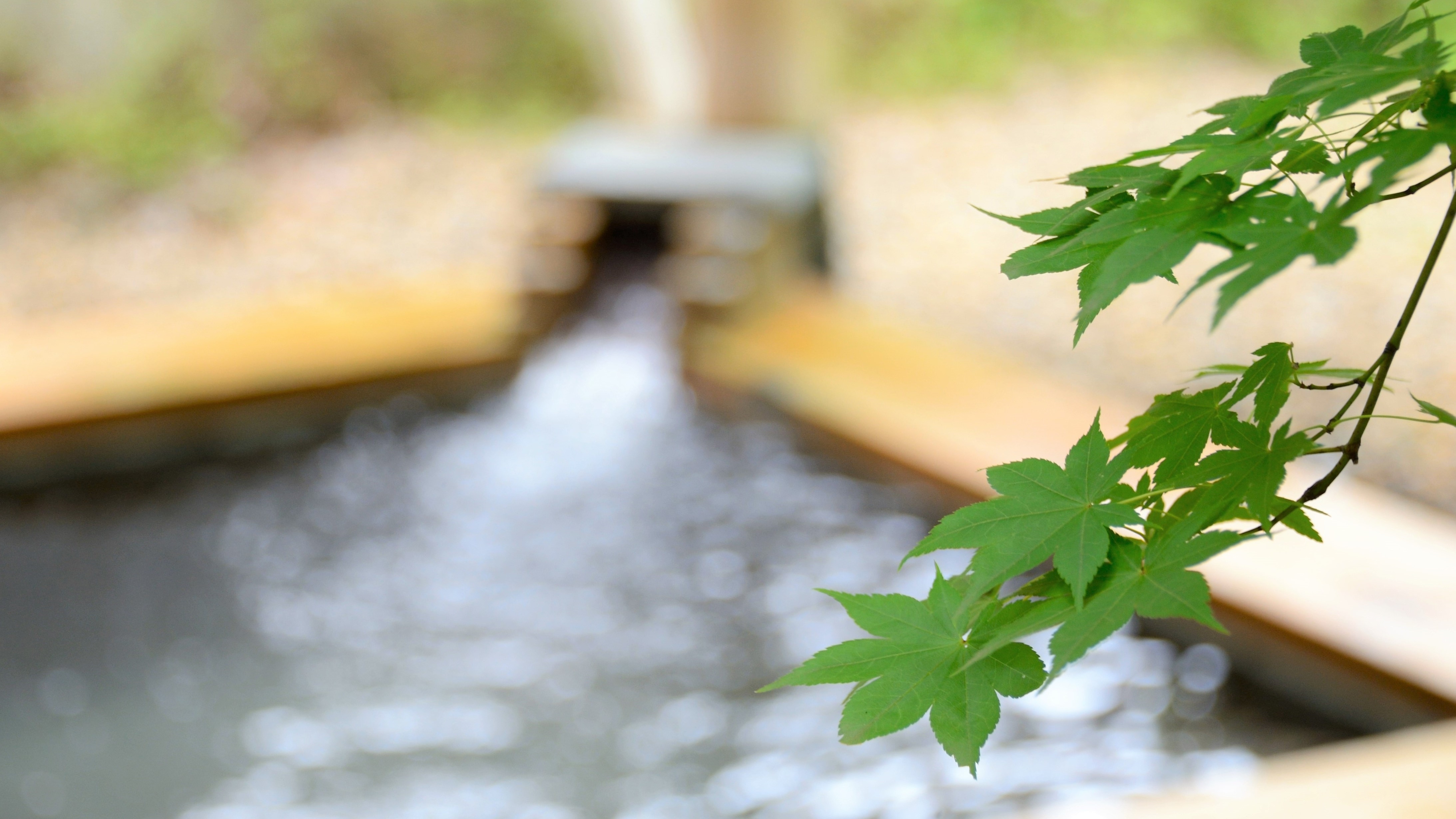 [Open-air bath] The best part of the open-air bath is to enjoy the scenery of the four seasons (^^ ♪)