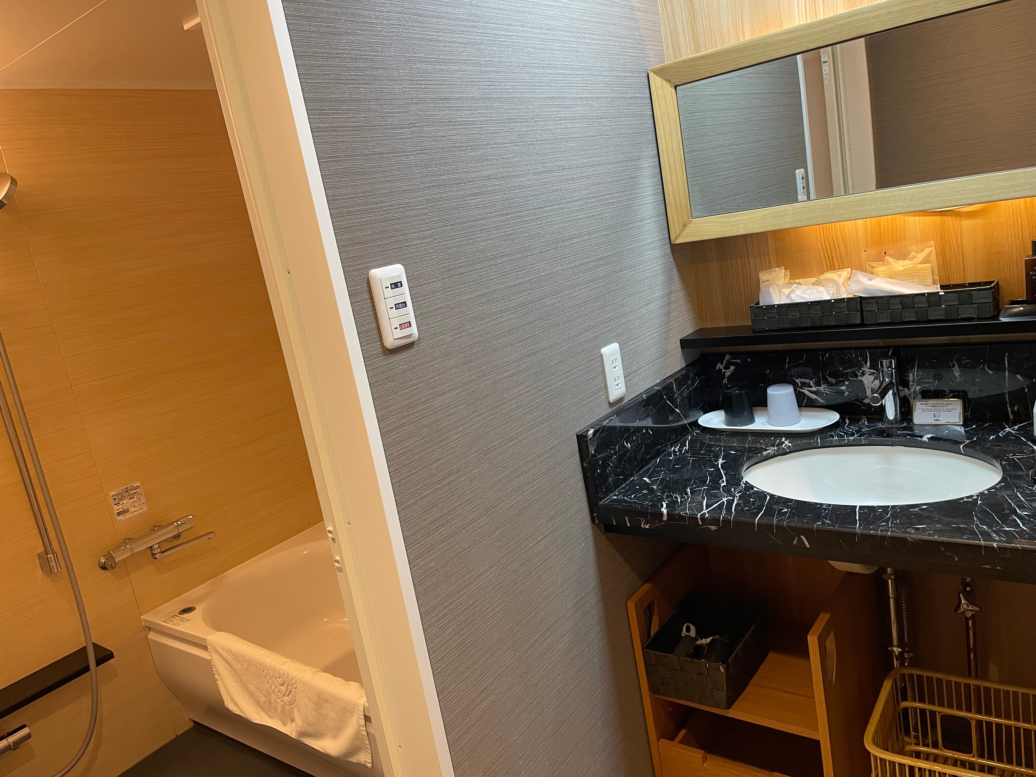 Deluxe Twin Japanese-Western Room Washroom