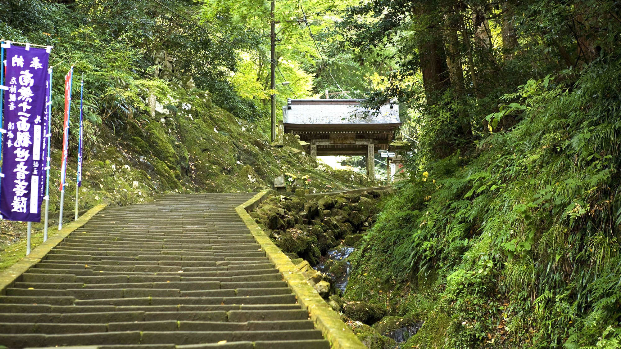 *[Kiyomizu-dera Temple] Stairs in the temple grounds