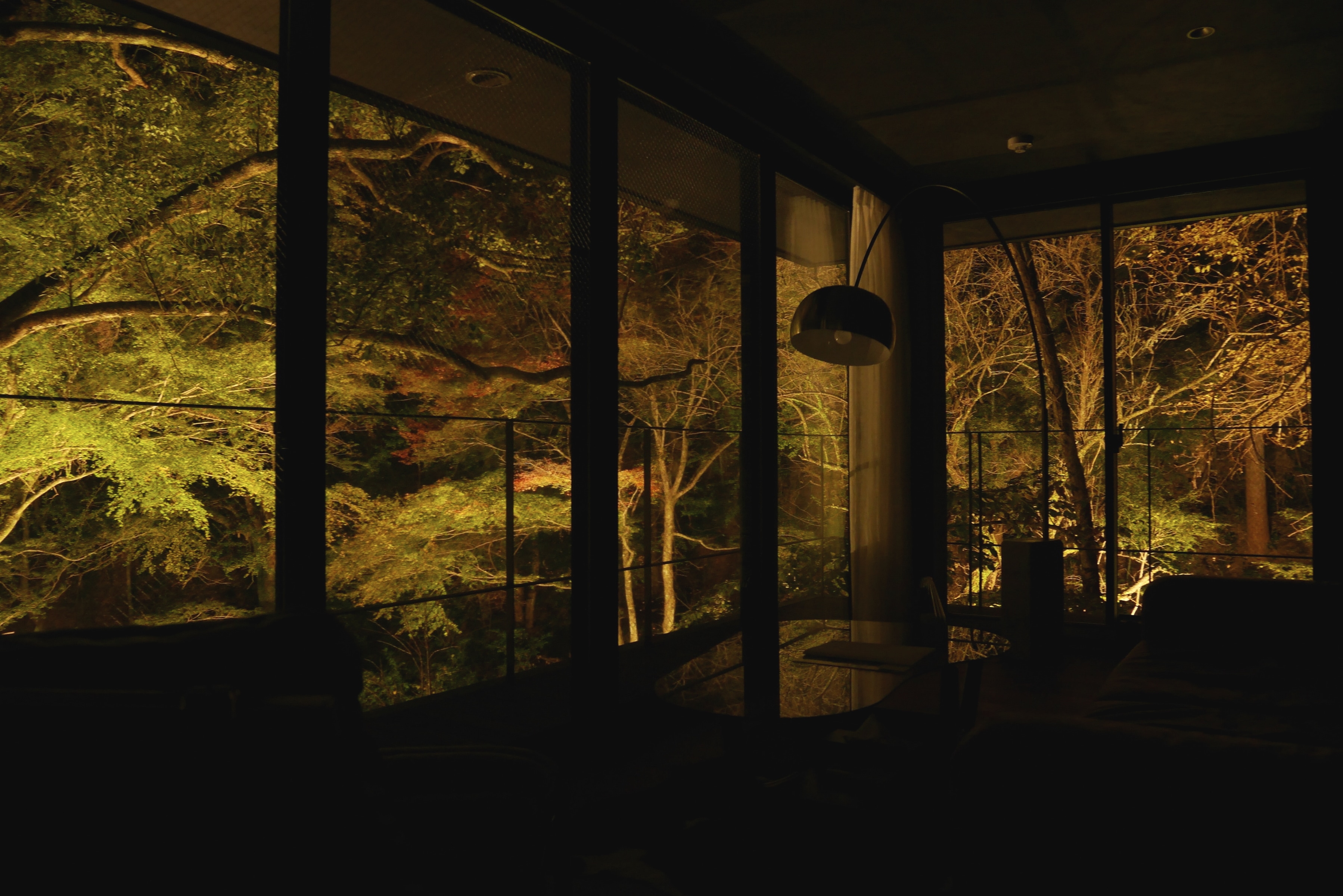 森 BOSCAGE 4