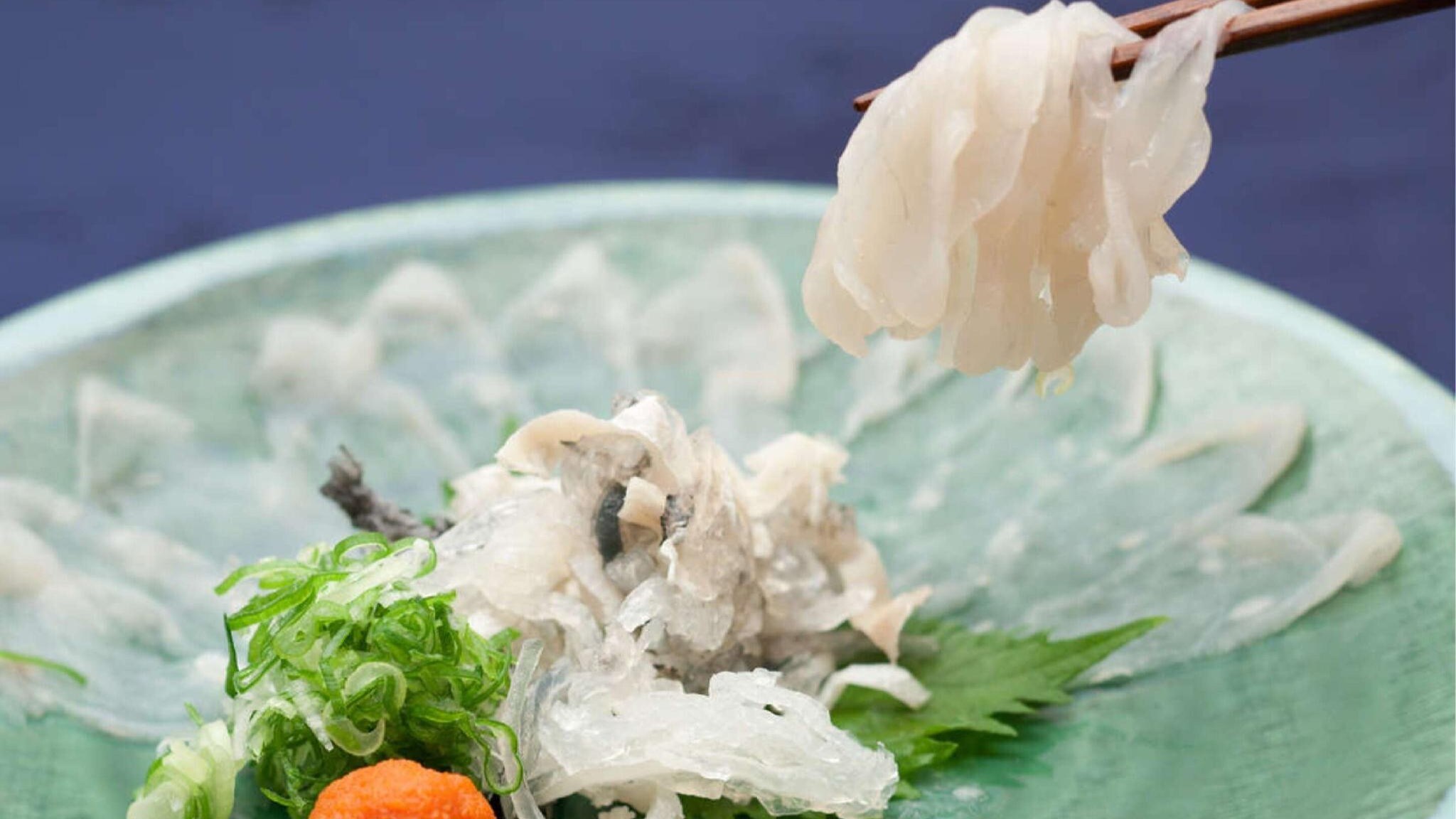 Fugu Journey