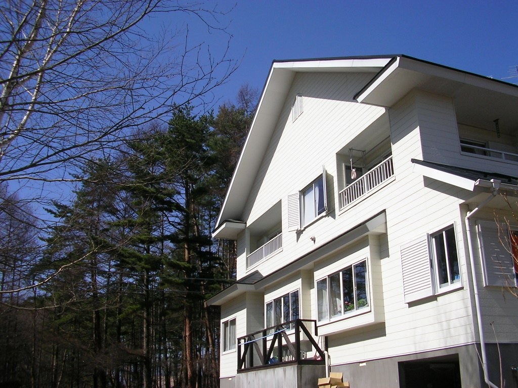 Appearance image