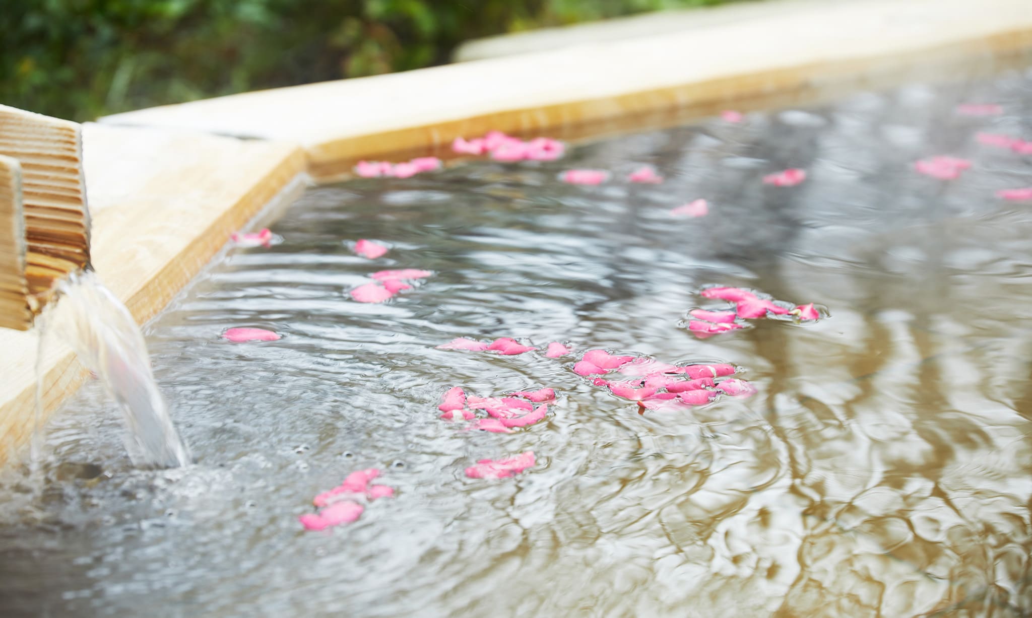 Beauty Bath