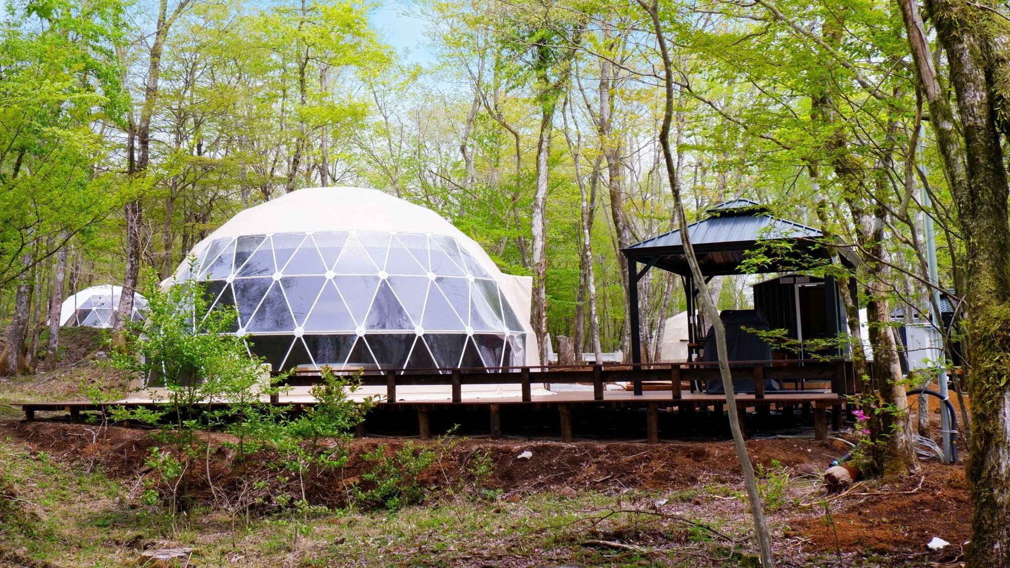 Dome Tent Standard View 7m