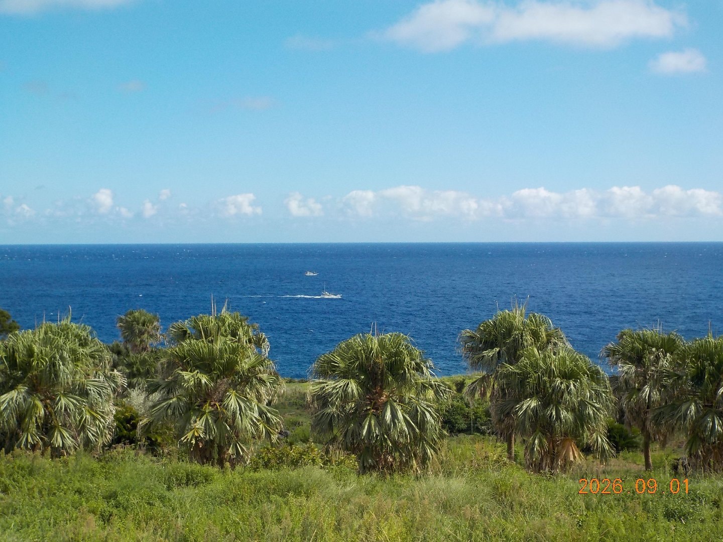DSCN2392.JPG