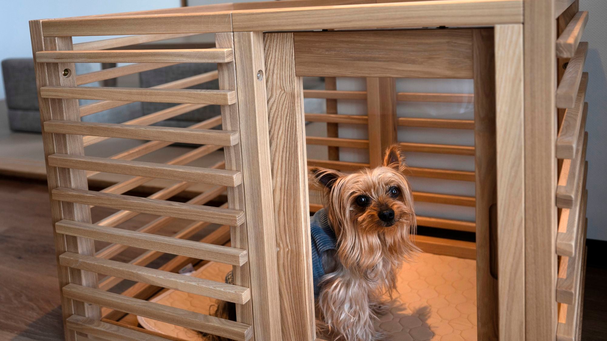 Pet room