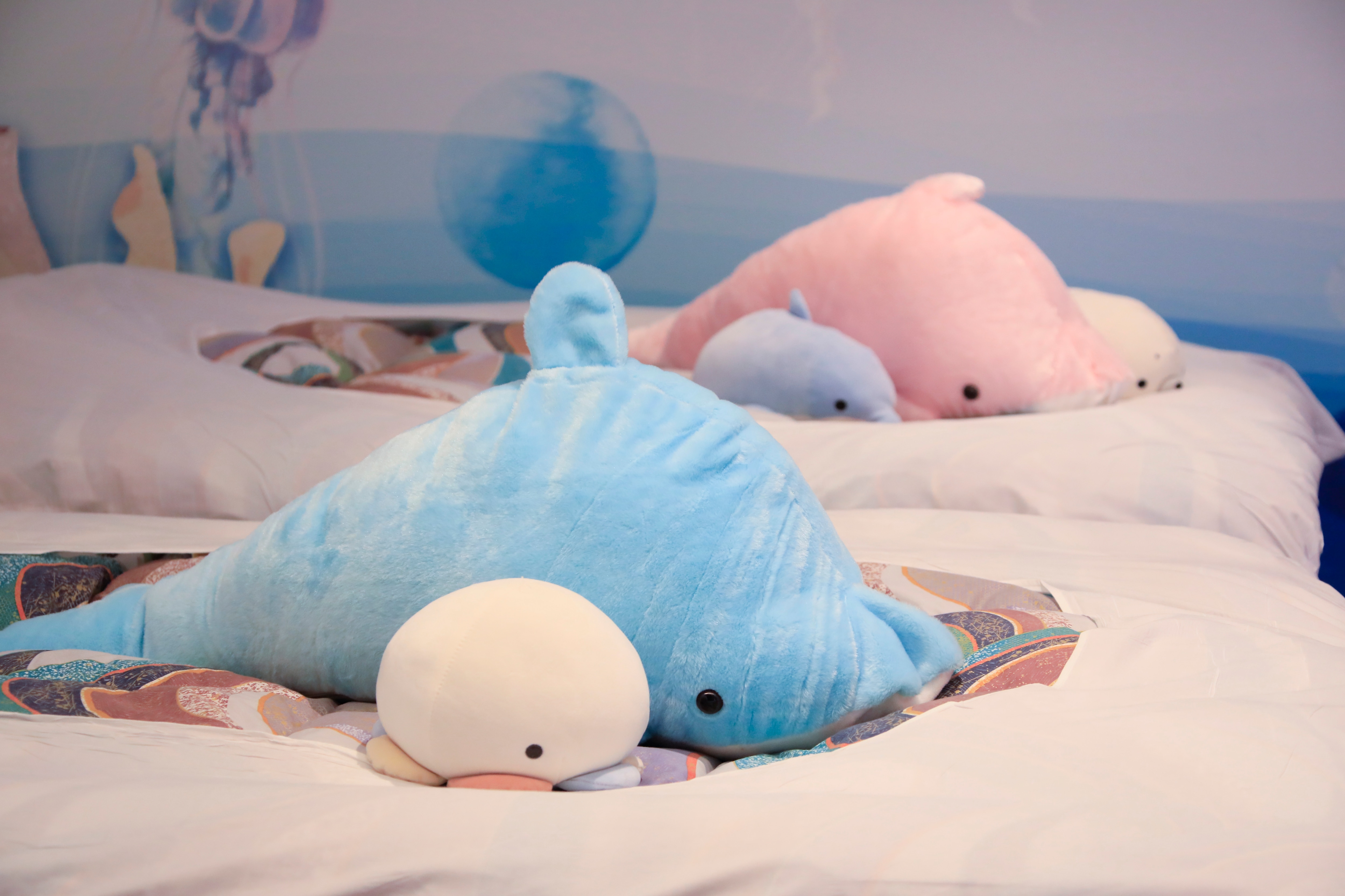 Concept room Umi [Nantsukai] Friends of the sea welcome you♪